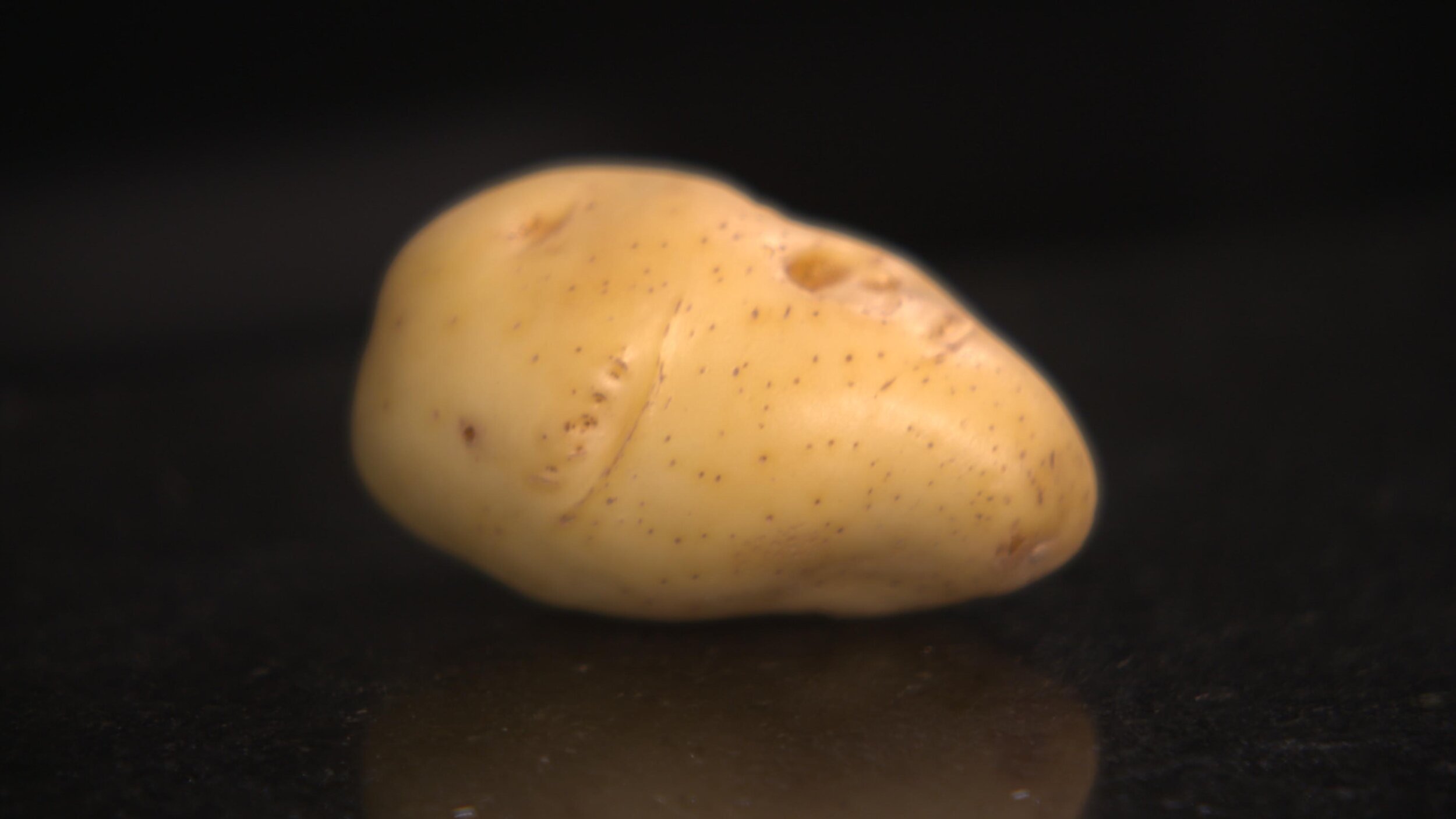 Potato.01.jpeg