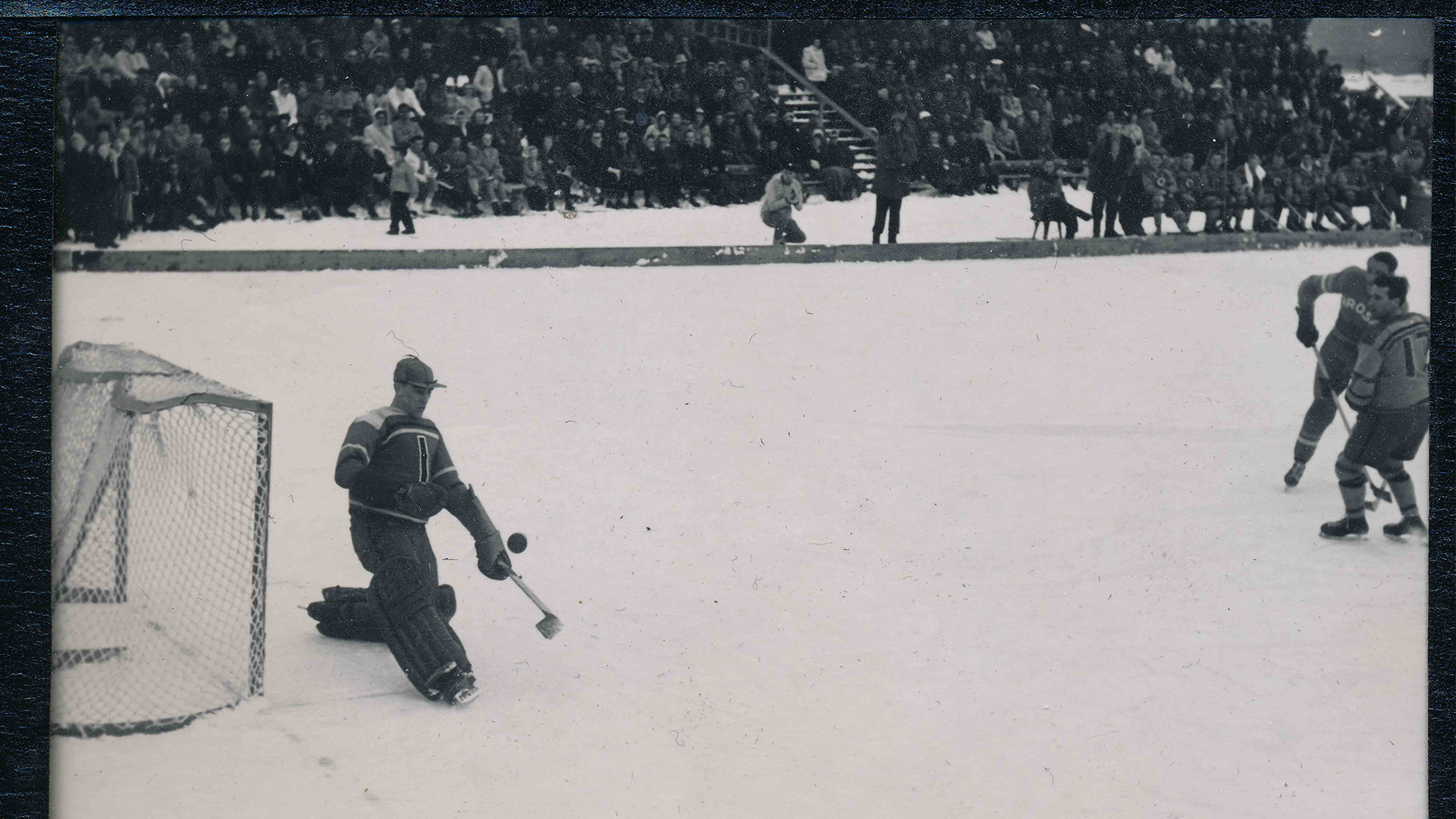 Murray Dowey at 1948 Olympics