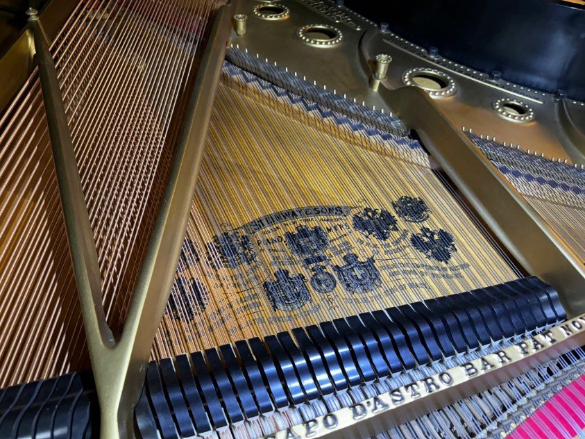 Steinway 5.jpg