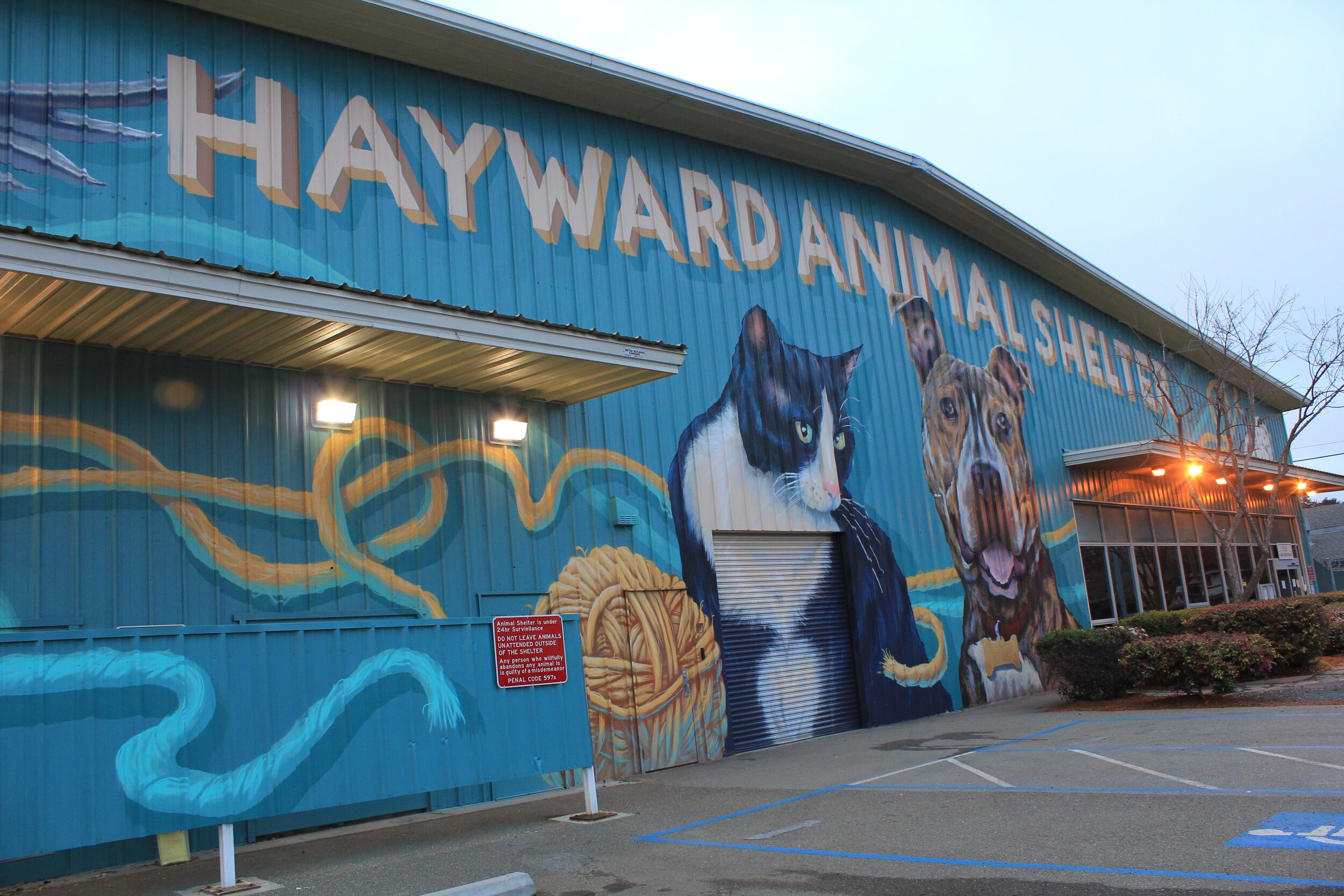 Hayward Animal Shelter