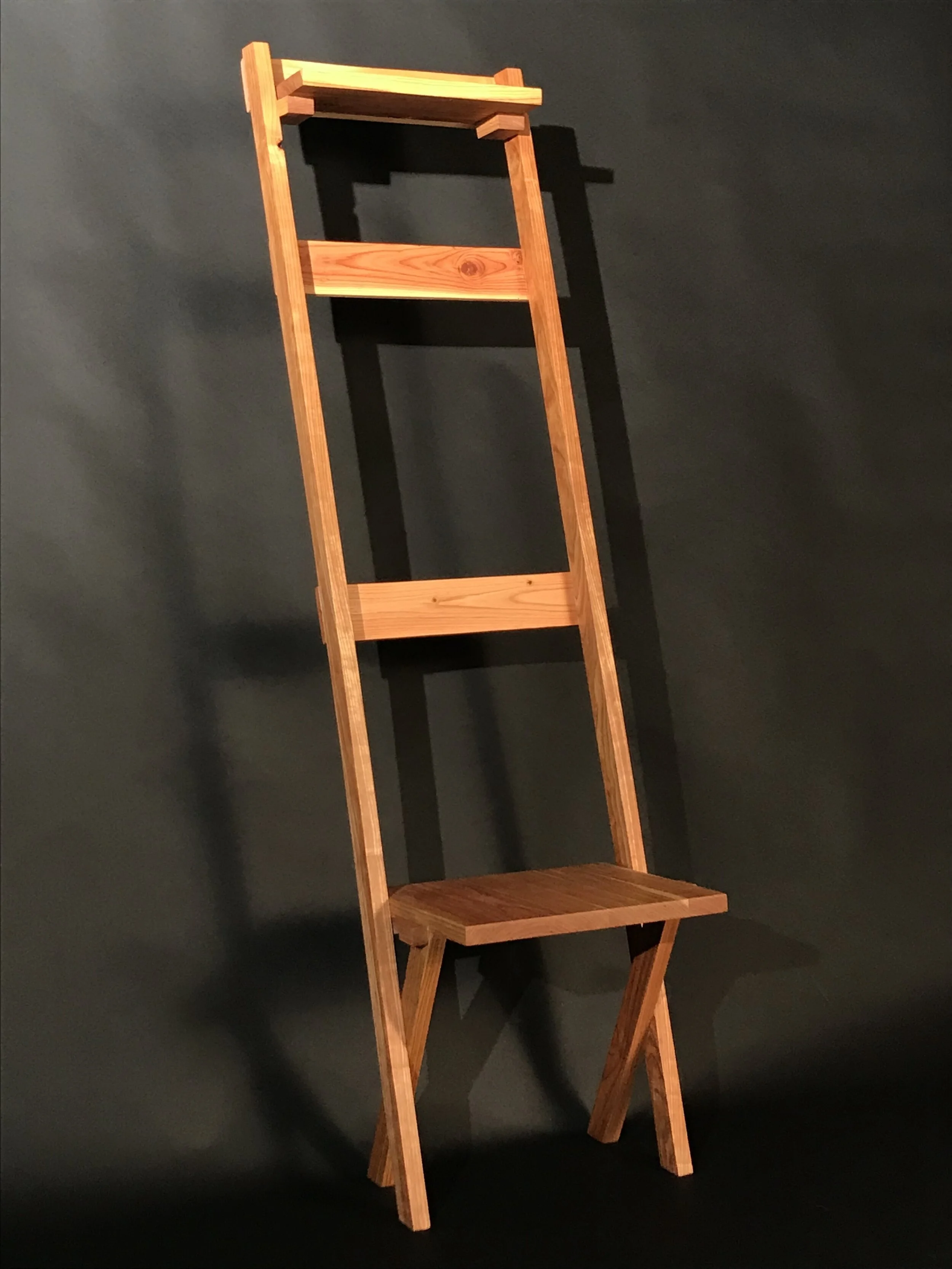 Multi-Purpose Clothing Rack