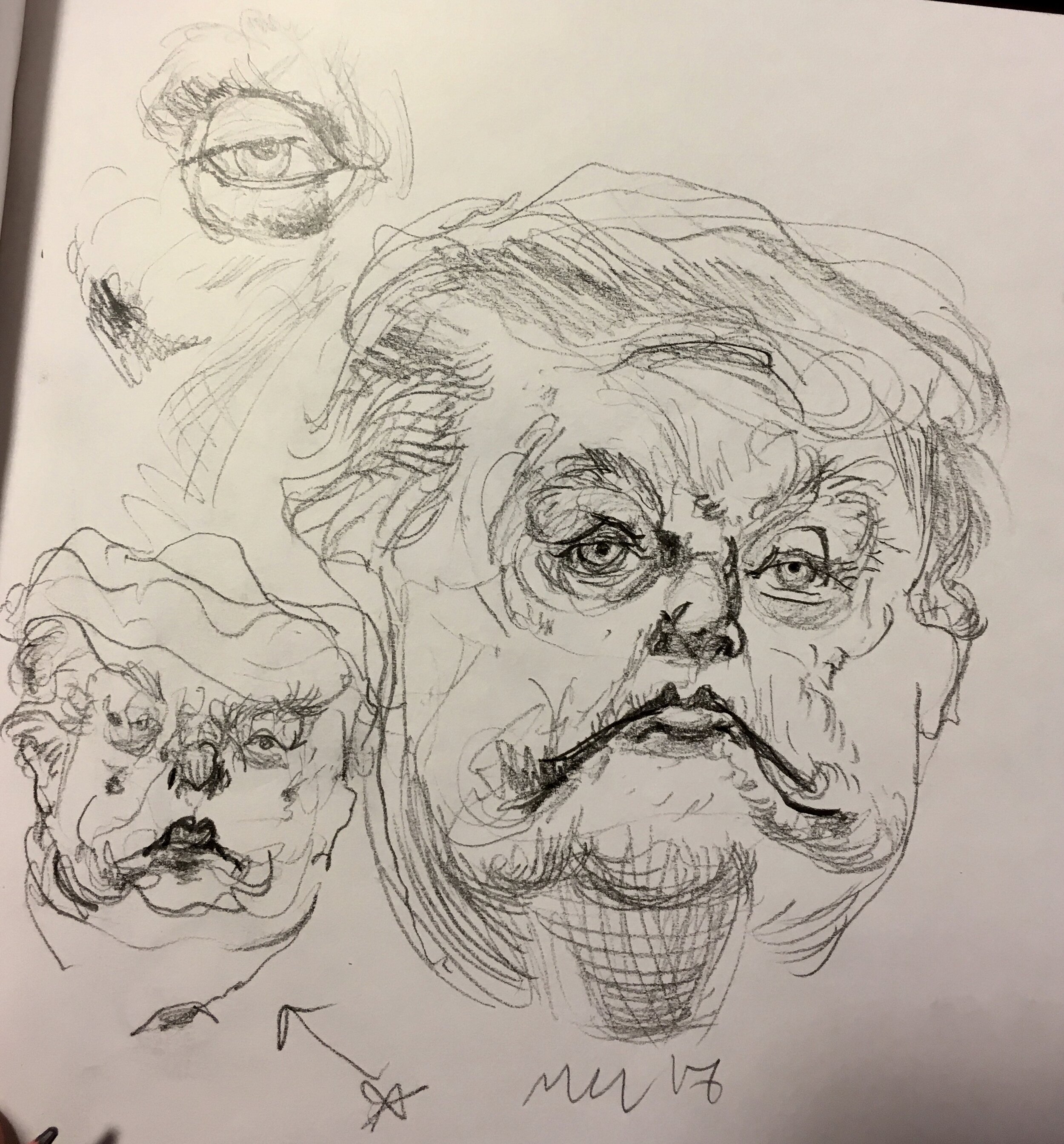 Trump studies, 2017