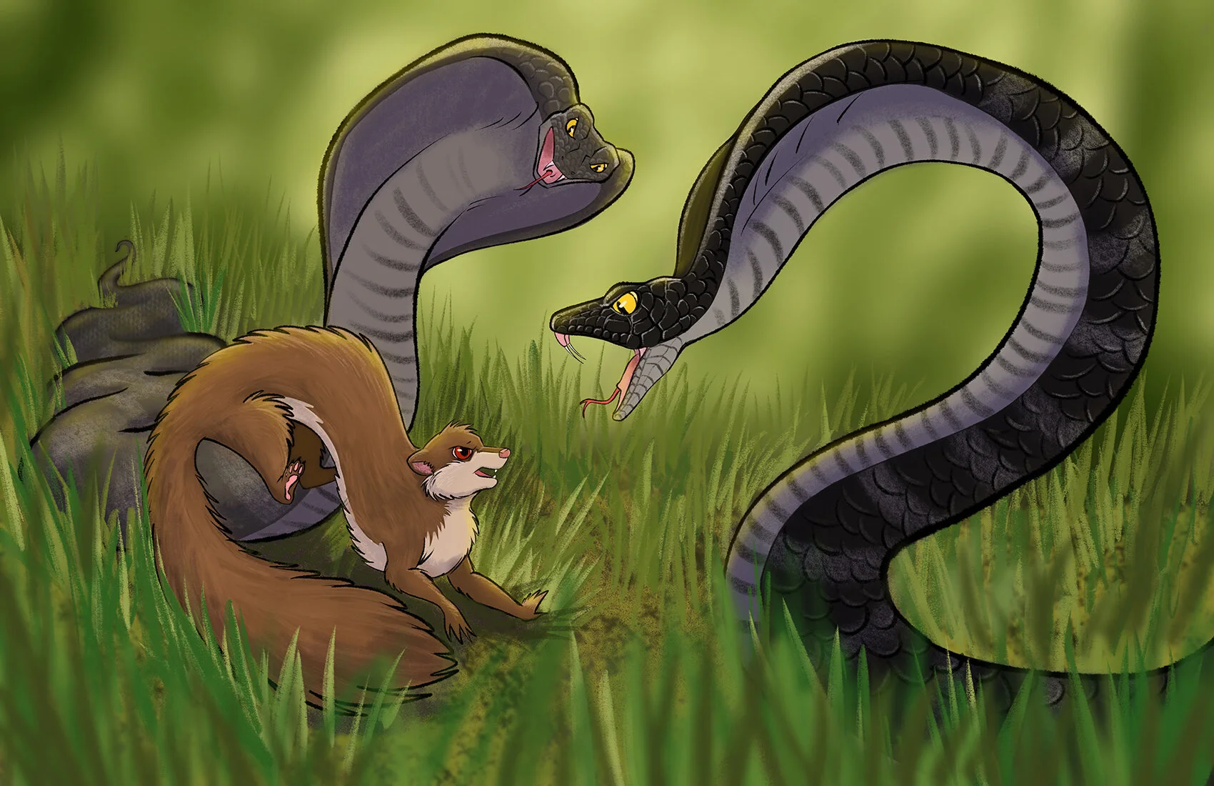 Rikki Tikki Tavi 11x17