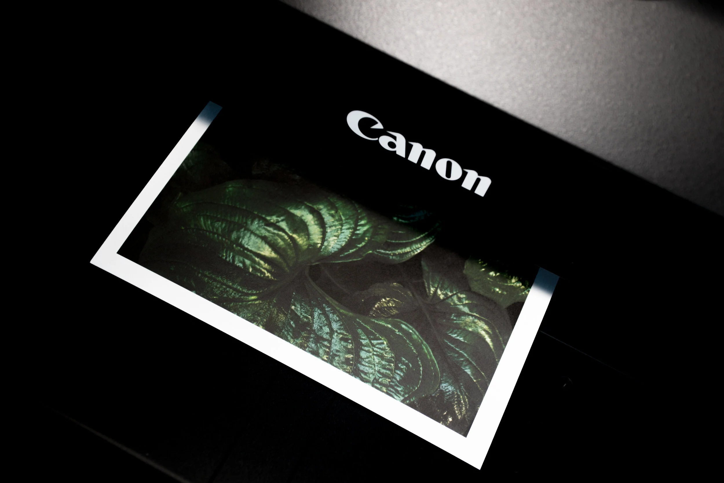 What True Photographers Need to Know About Photo Printing