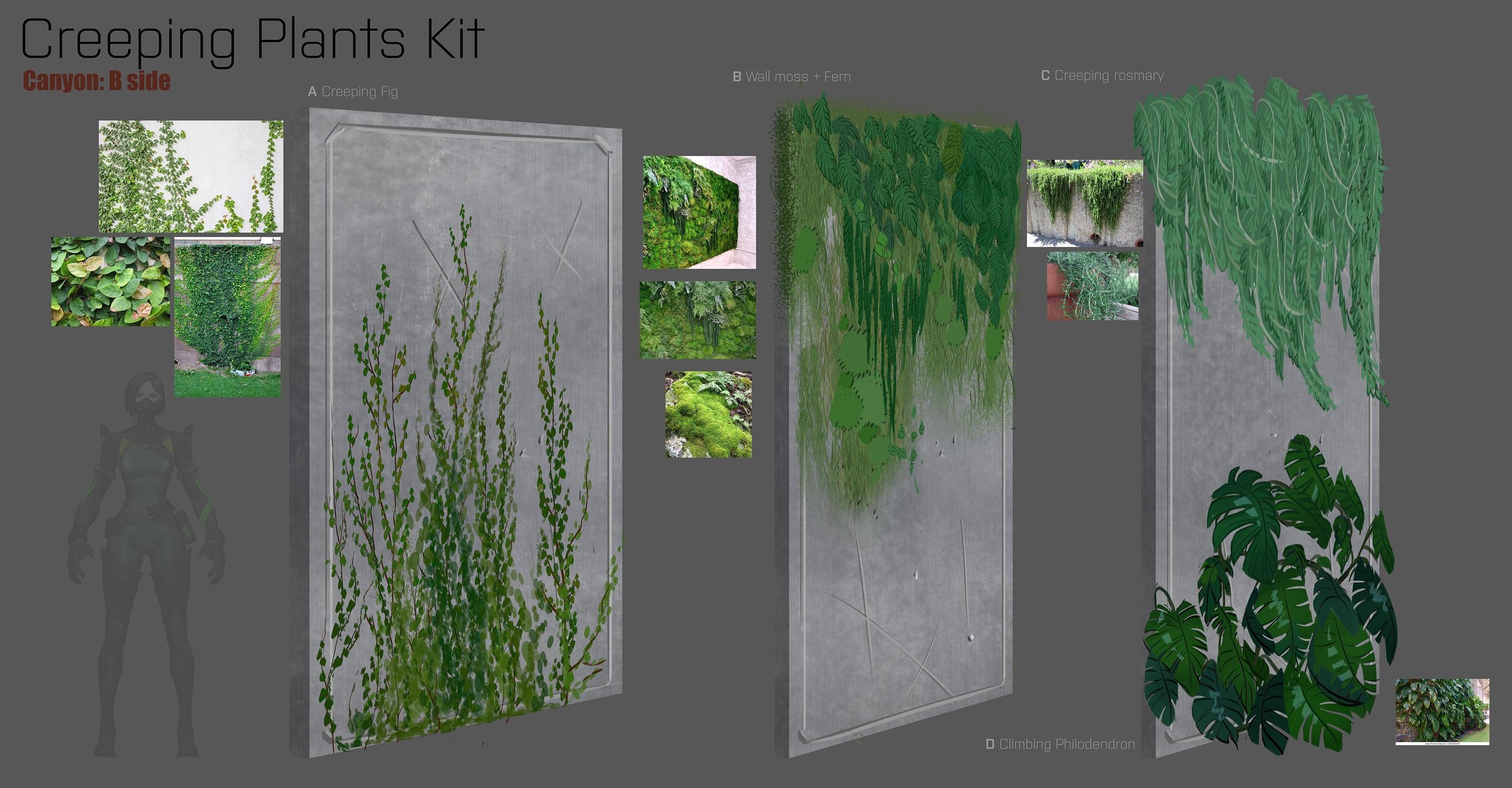 creeping plants kit.jpg