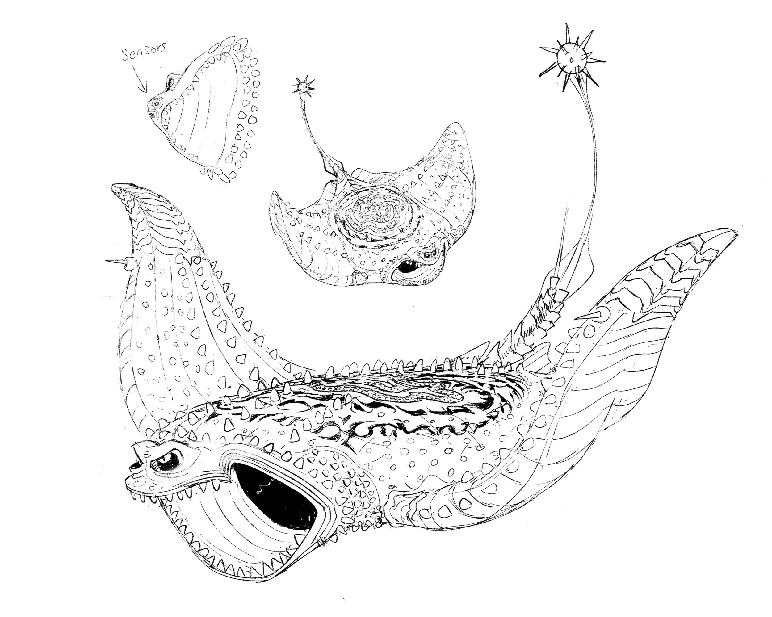 stingray sketches1.jpg