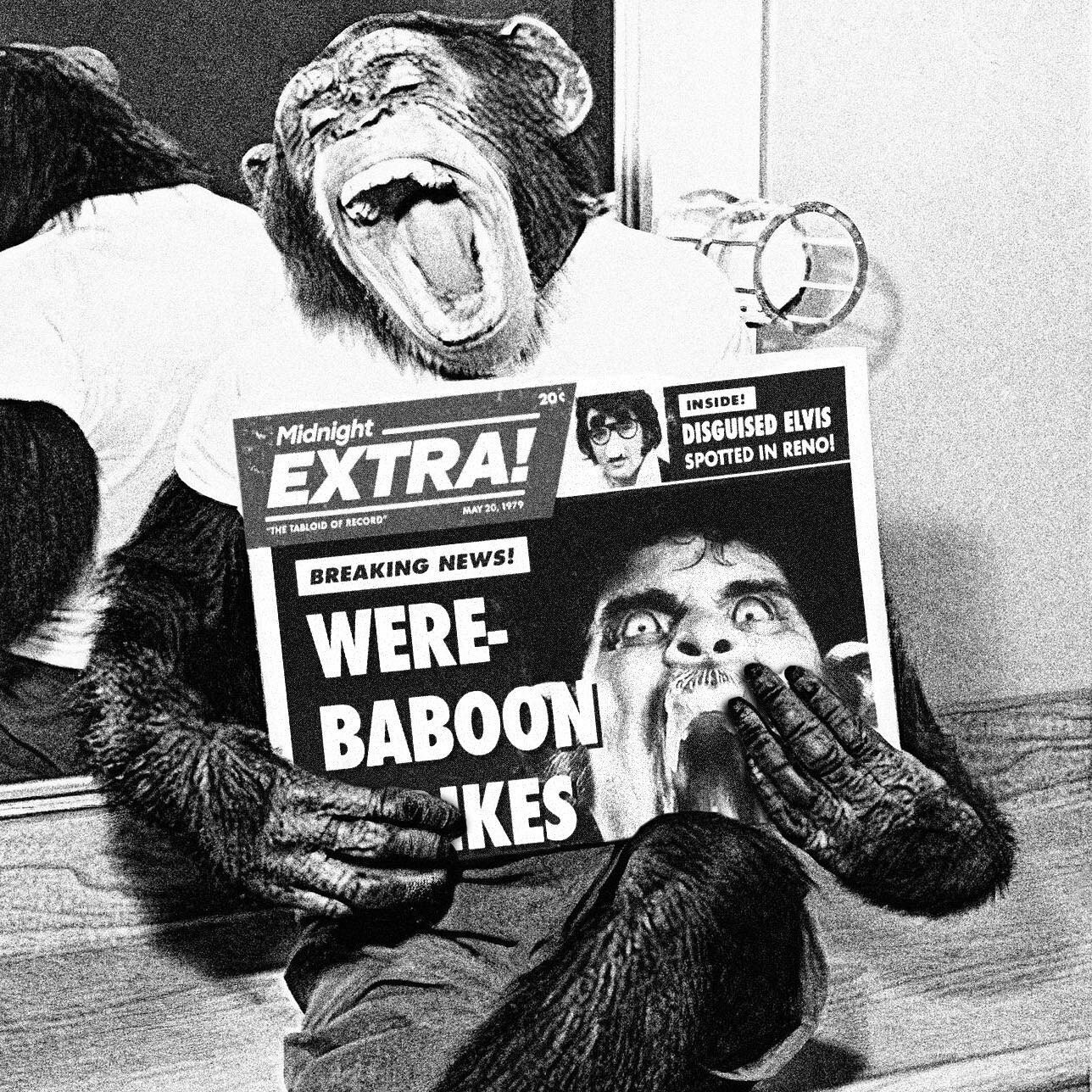 1979: The BLOOD FEUD between apes and monkeys REIGNITES upon the publication of our WERE-BABOON expos&eacute;! Facing RIDICULE and SCORN from the chimpanzees, the EVER-VENGEFUL baboons promise SWIFT RETALIATION! The Midnight Extra takes NO RESPONSIBI