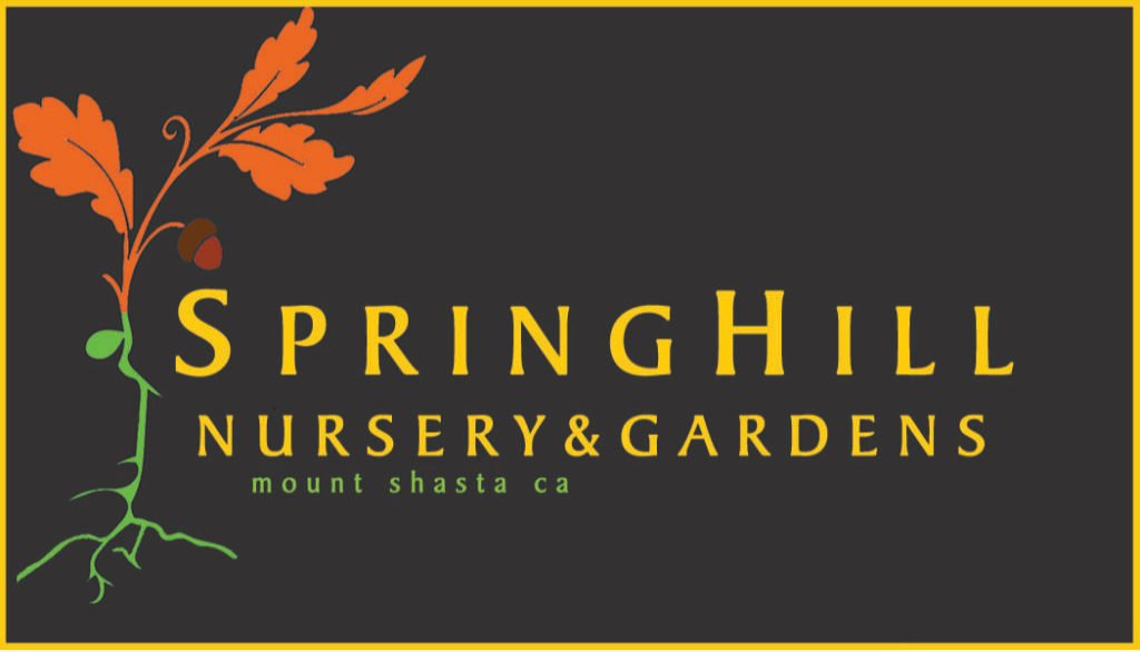 spring-hill-logo-new-1024x1024.jpg
