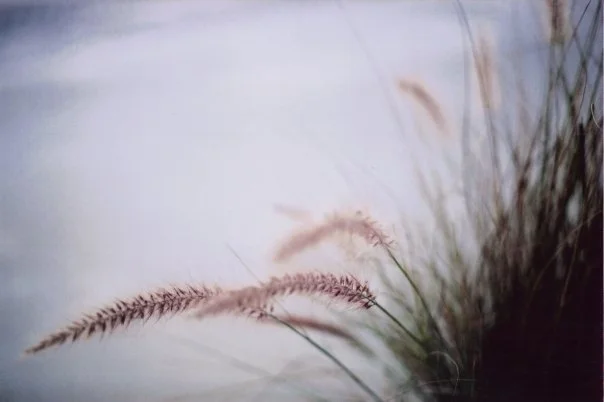 Ep. 2.5: Embodied Sabbath Practices