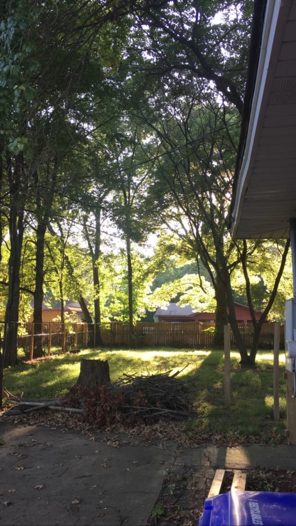 Ep. 3.9: Climate, Spirit, and Remembering Who We Are