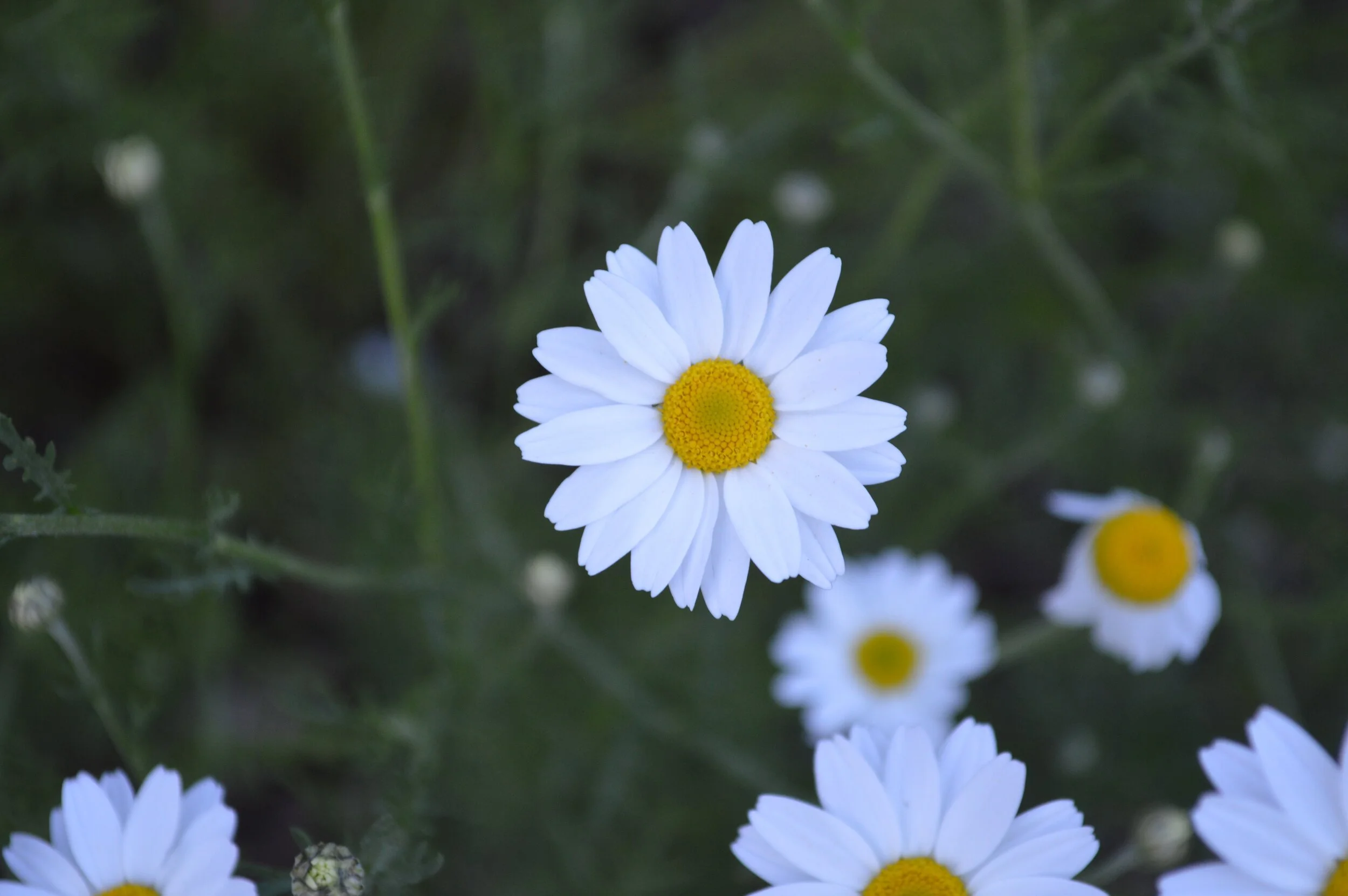 Ep. 4.5: On Doing Good