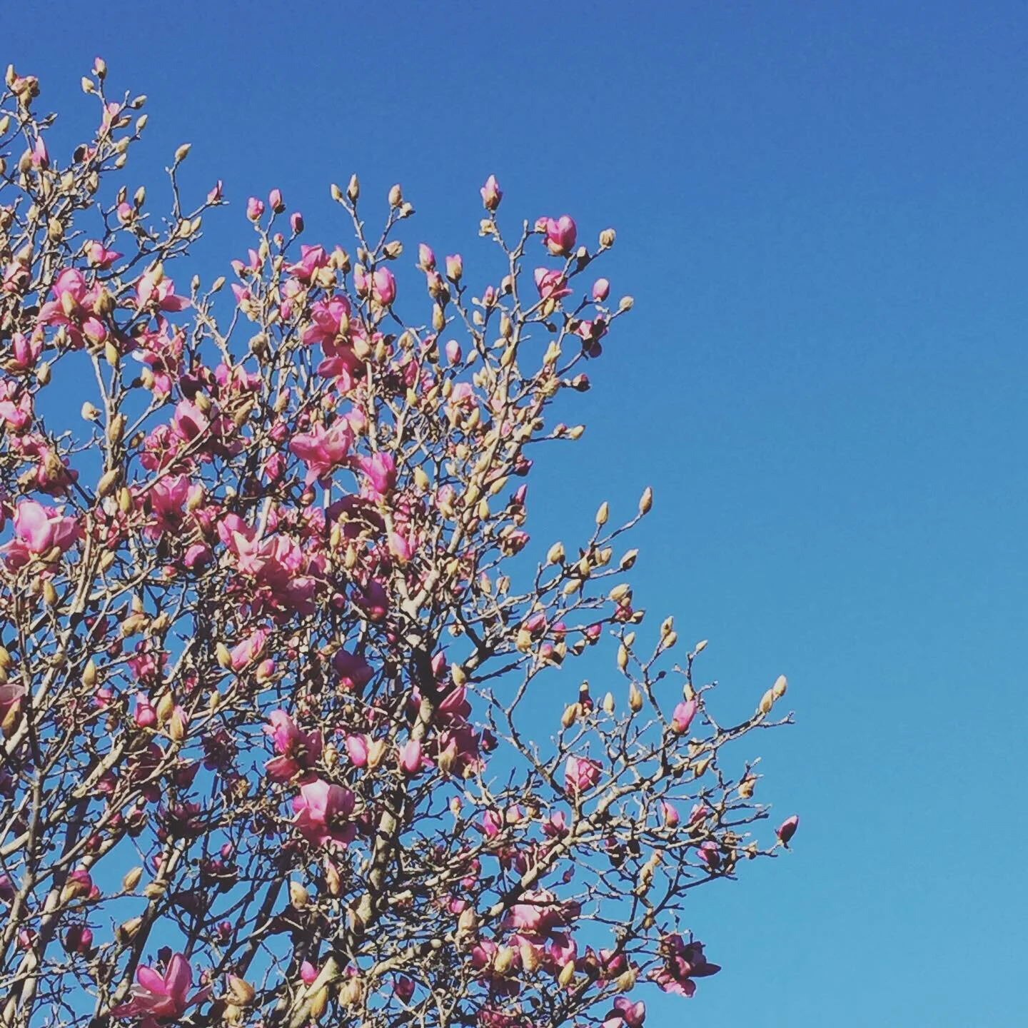 Ep. 5.2: Land and Race