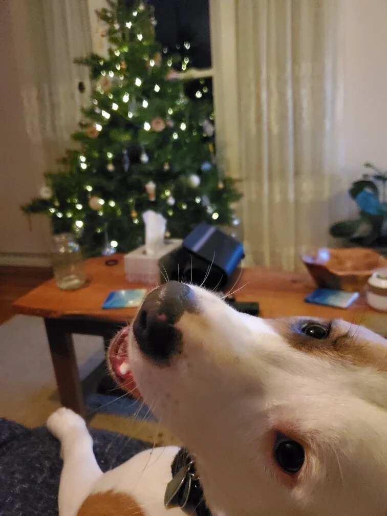 Ep. 5.6: Thanks + Giving