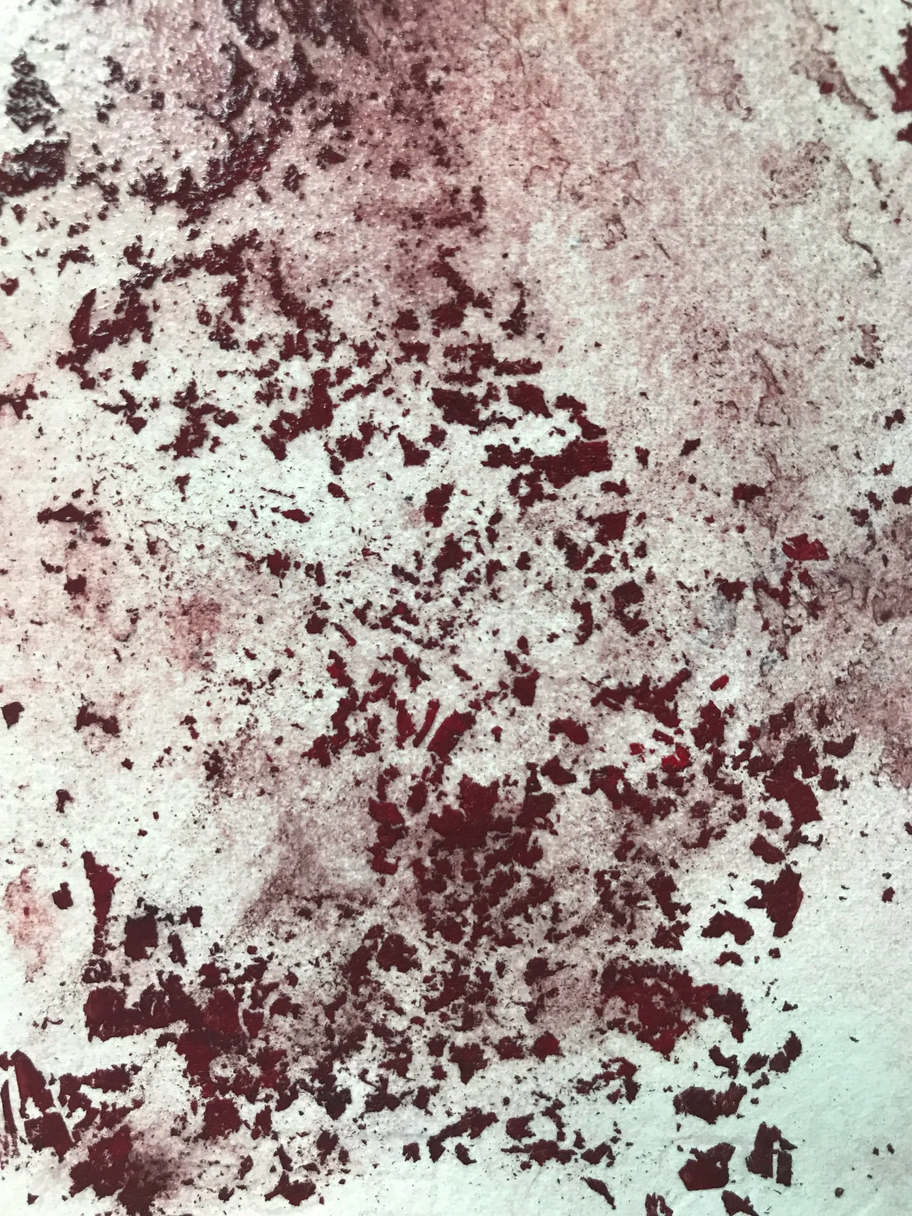 Ford Whitman Harris and exploration