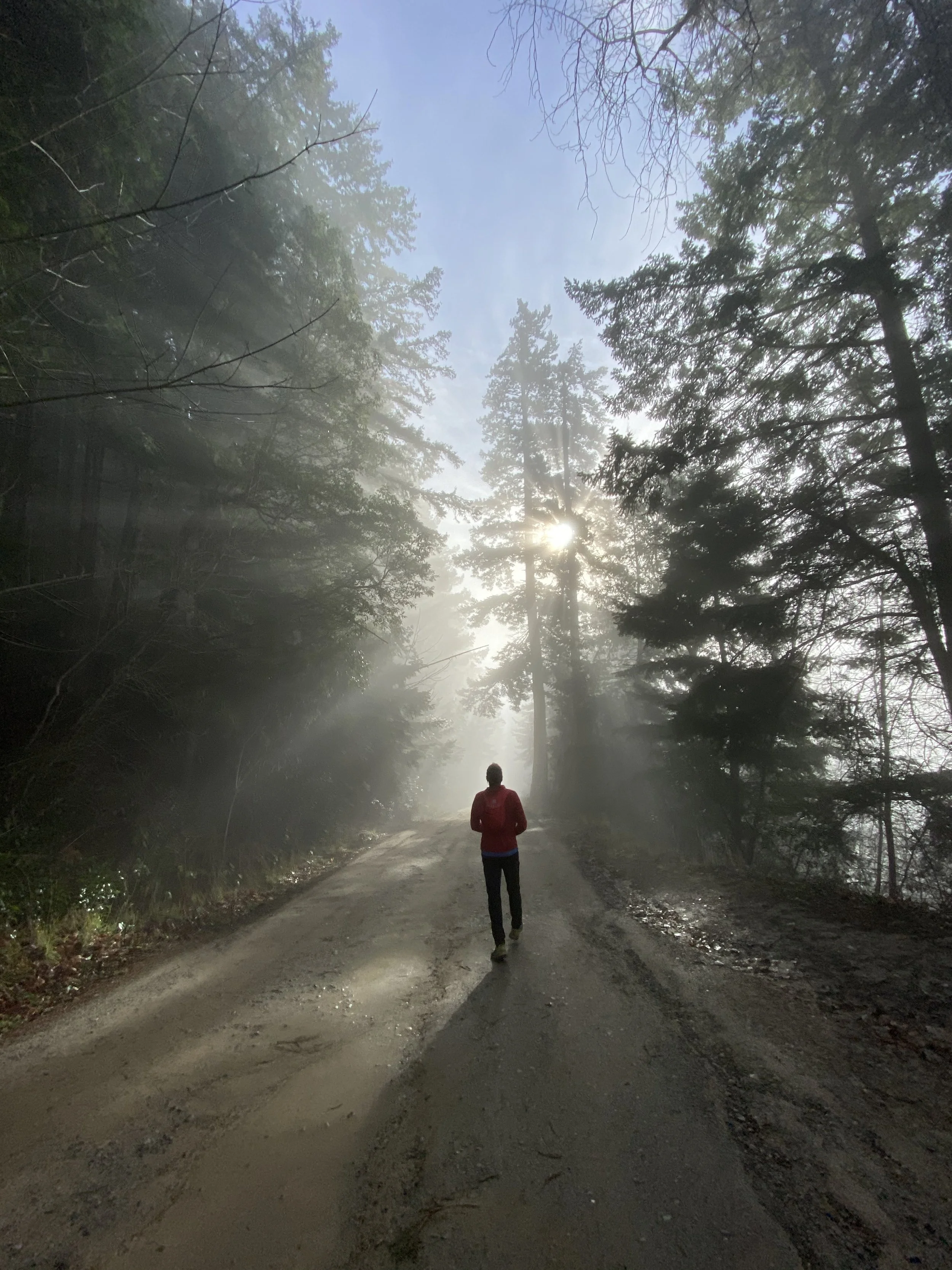 fog road human silhouette