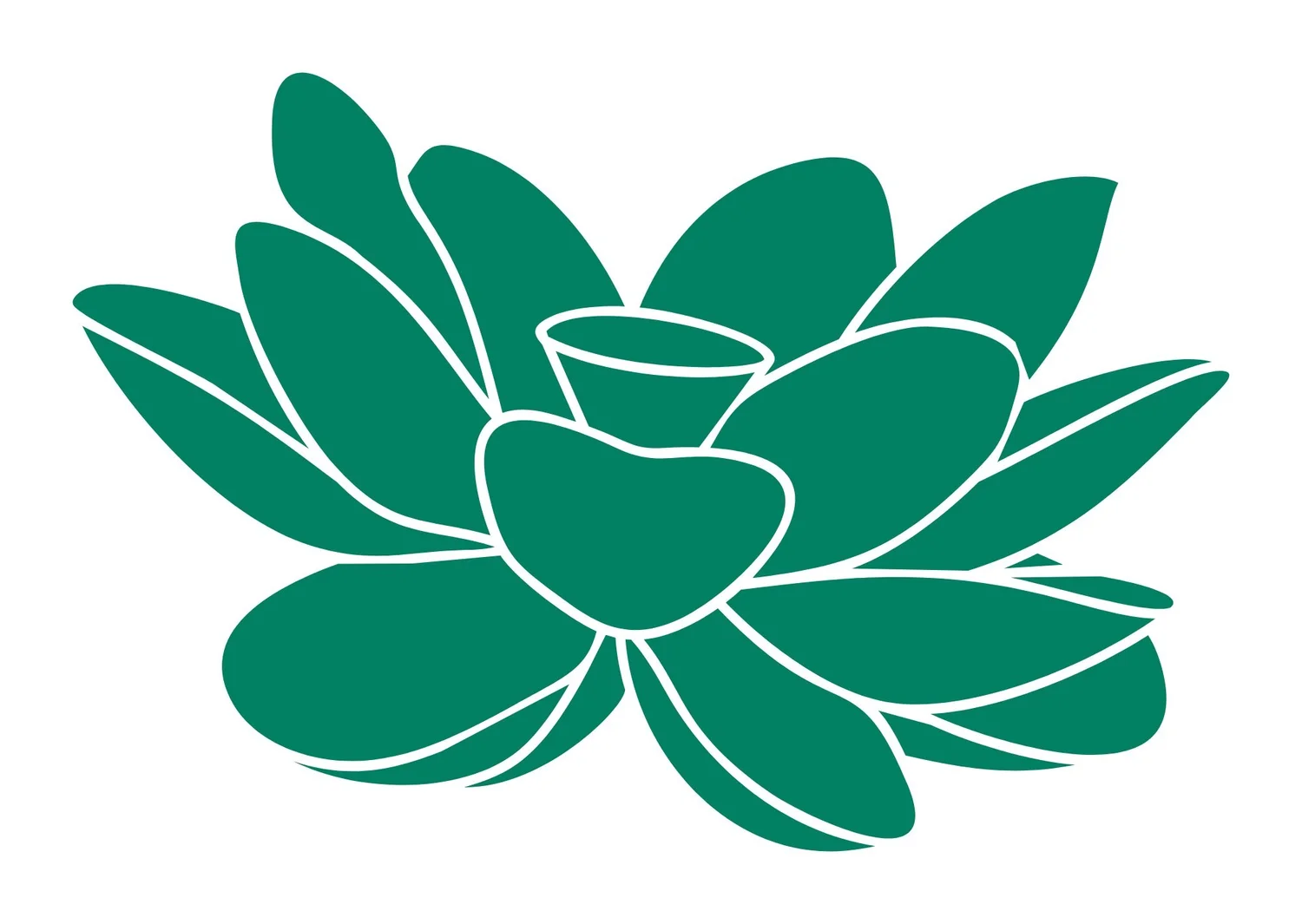 Brooke Susan · Integrative Health Coach | Plant-Based Chef | Sound Practitioner 