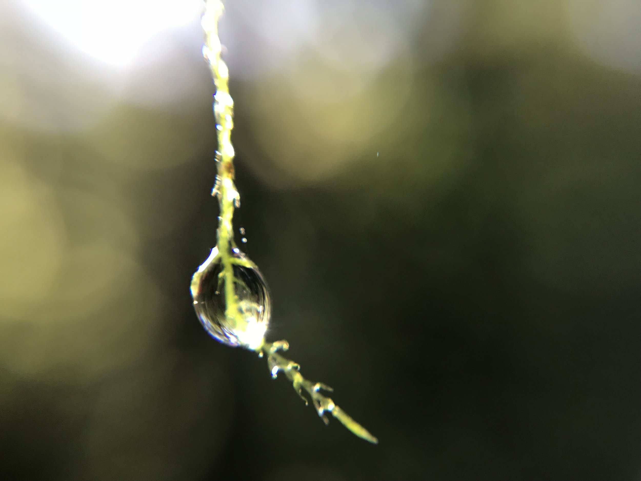 IMG_5747.jpeg