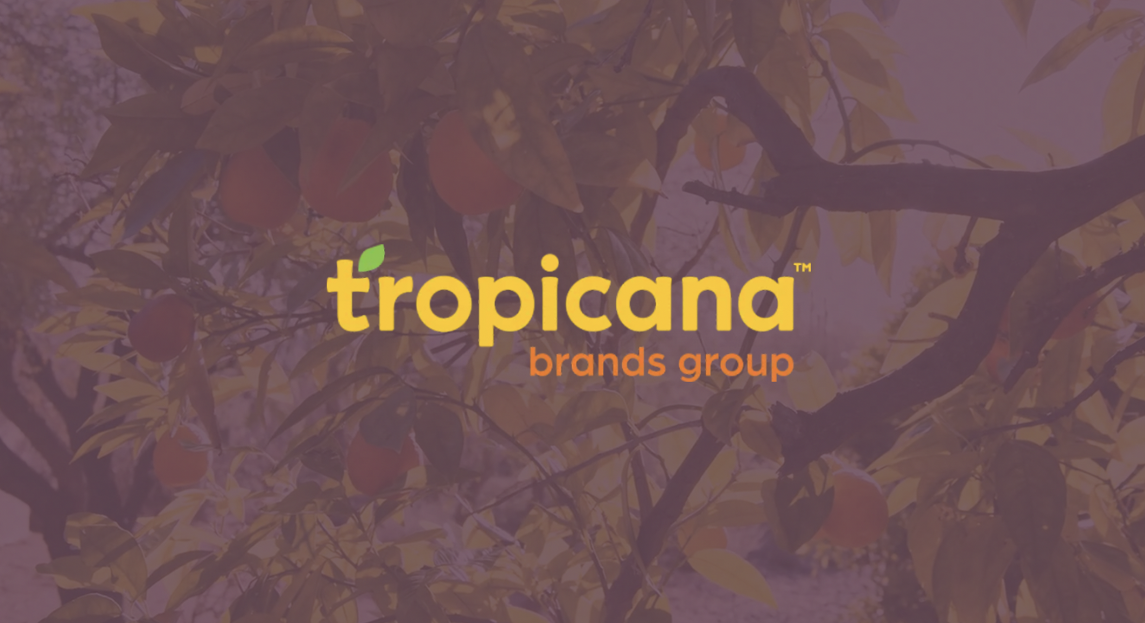 Screenshot 2025-12-01 at 5.11.14 PM.png