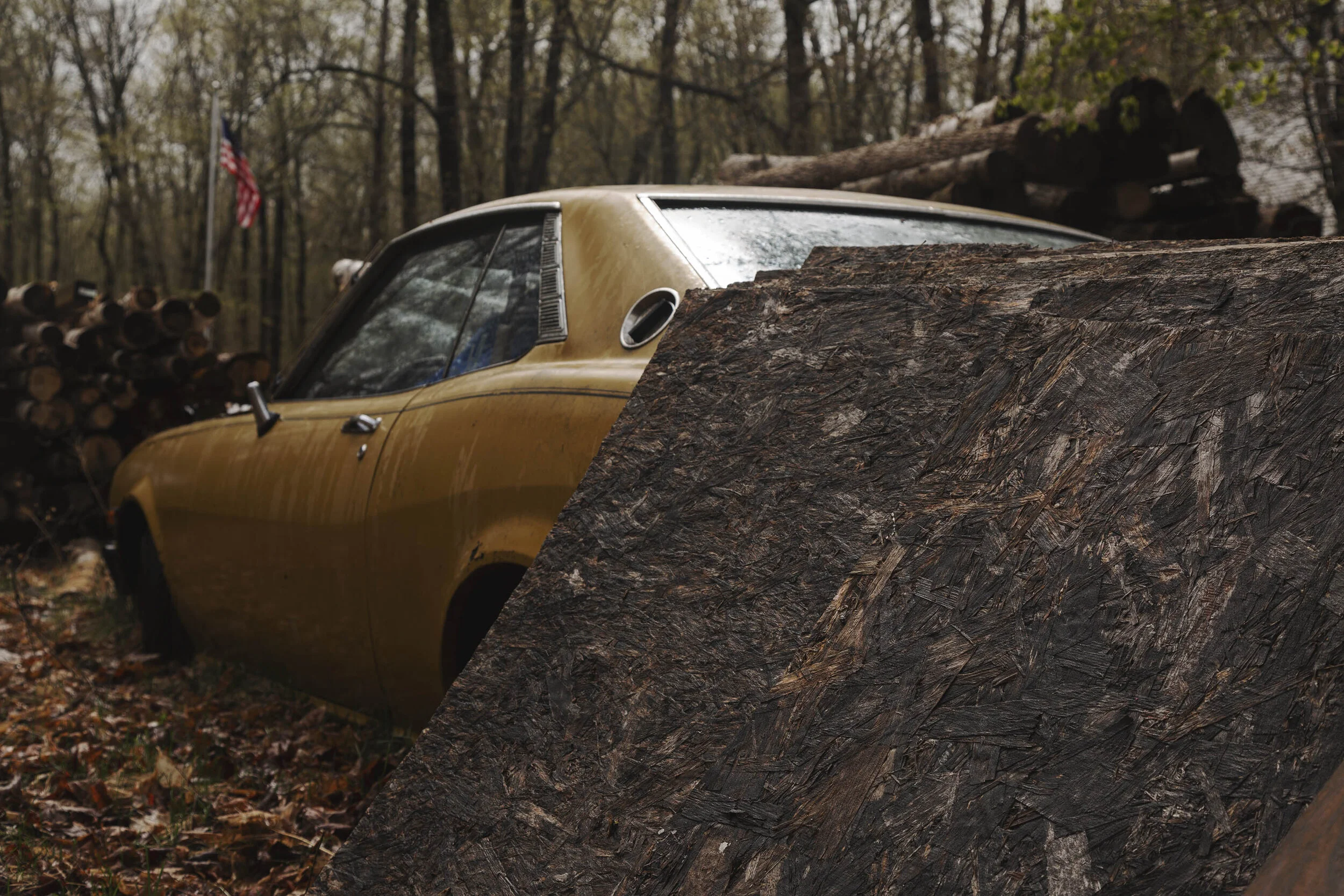 598A4745_1976 Celica_TO PRINT.jpg