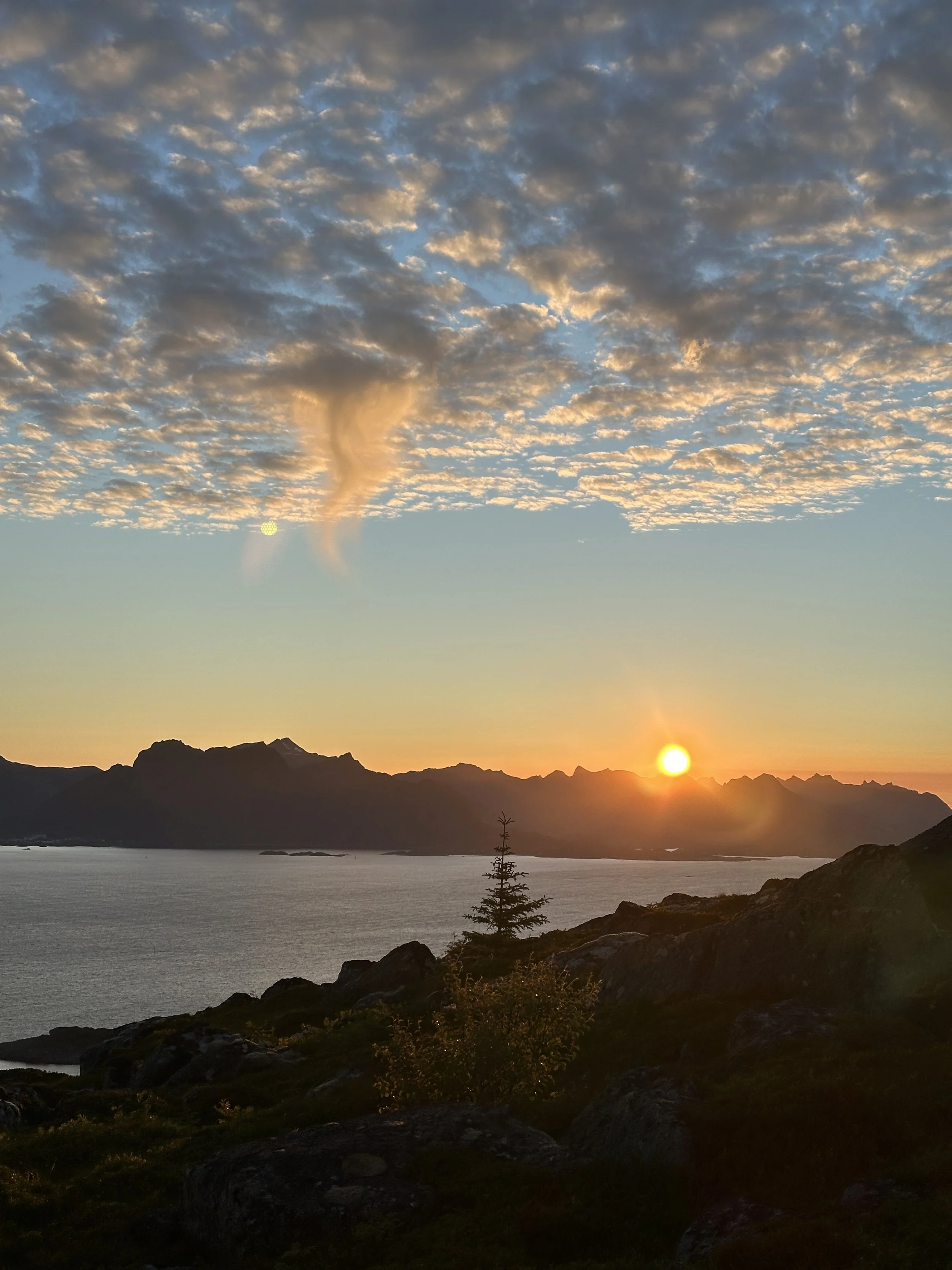 midnight sun.JPG