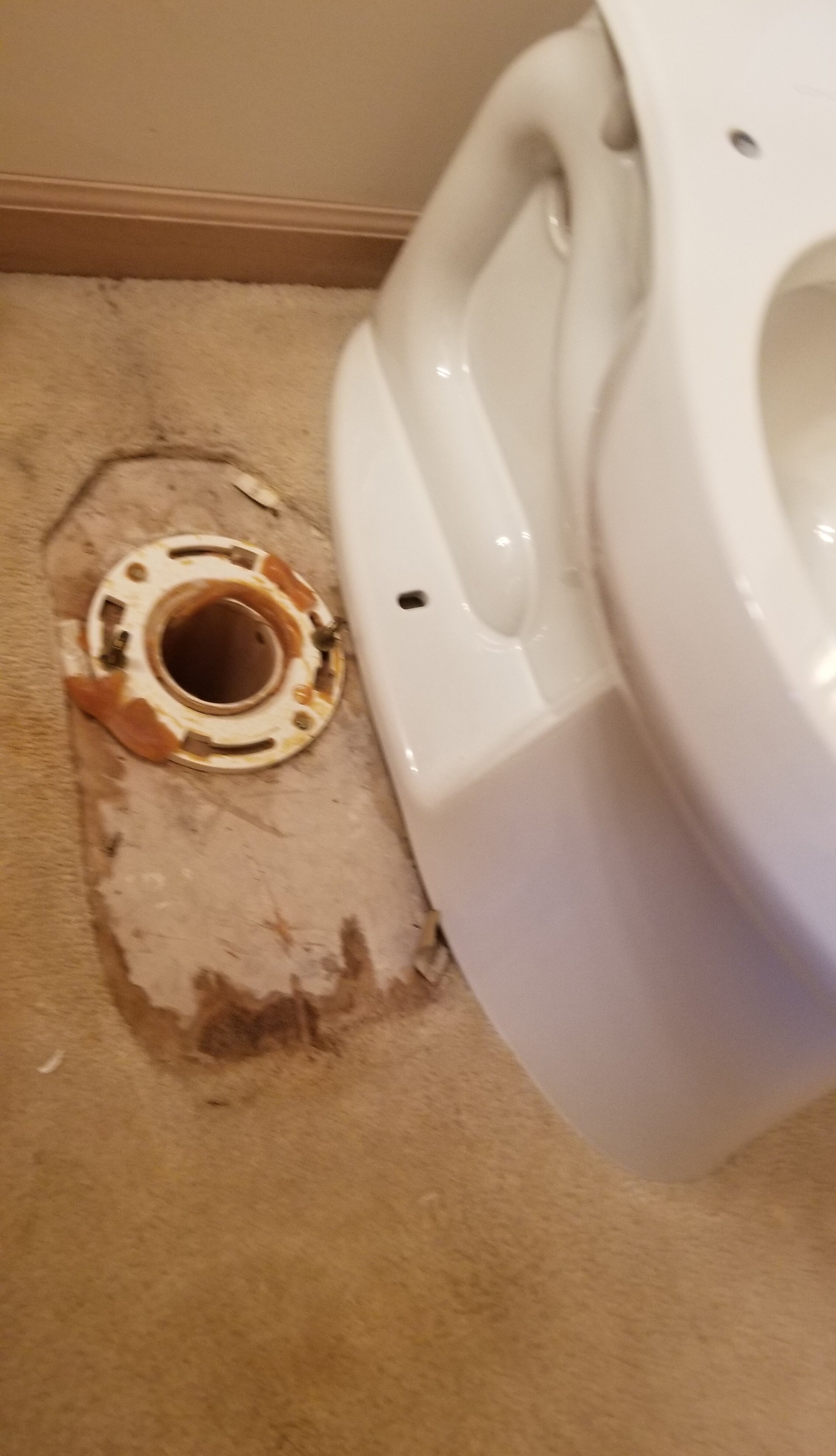 toilet replacement.jpg