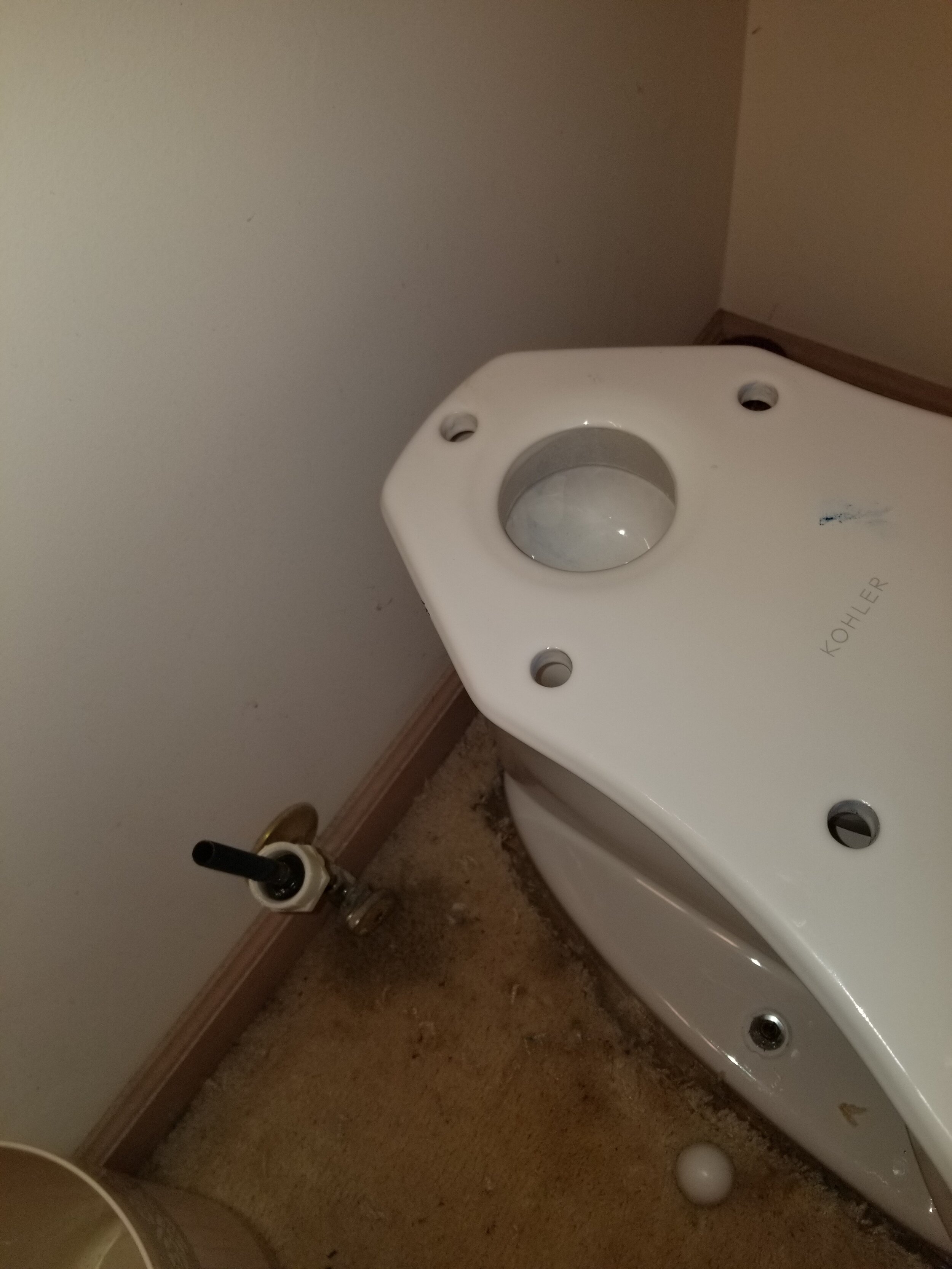 toilet replacement(1).jpg