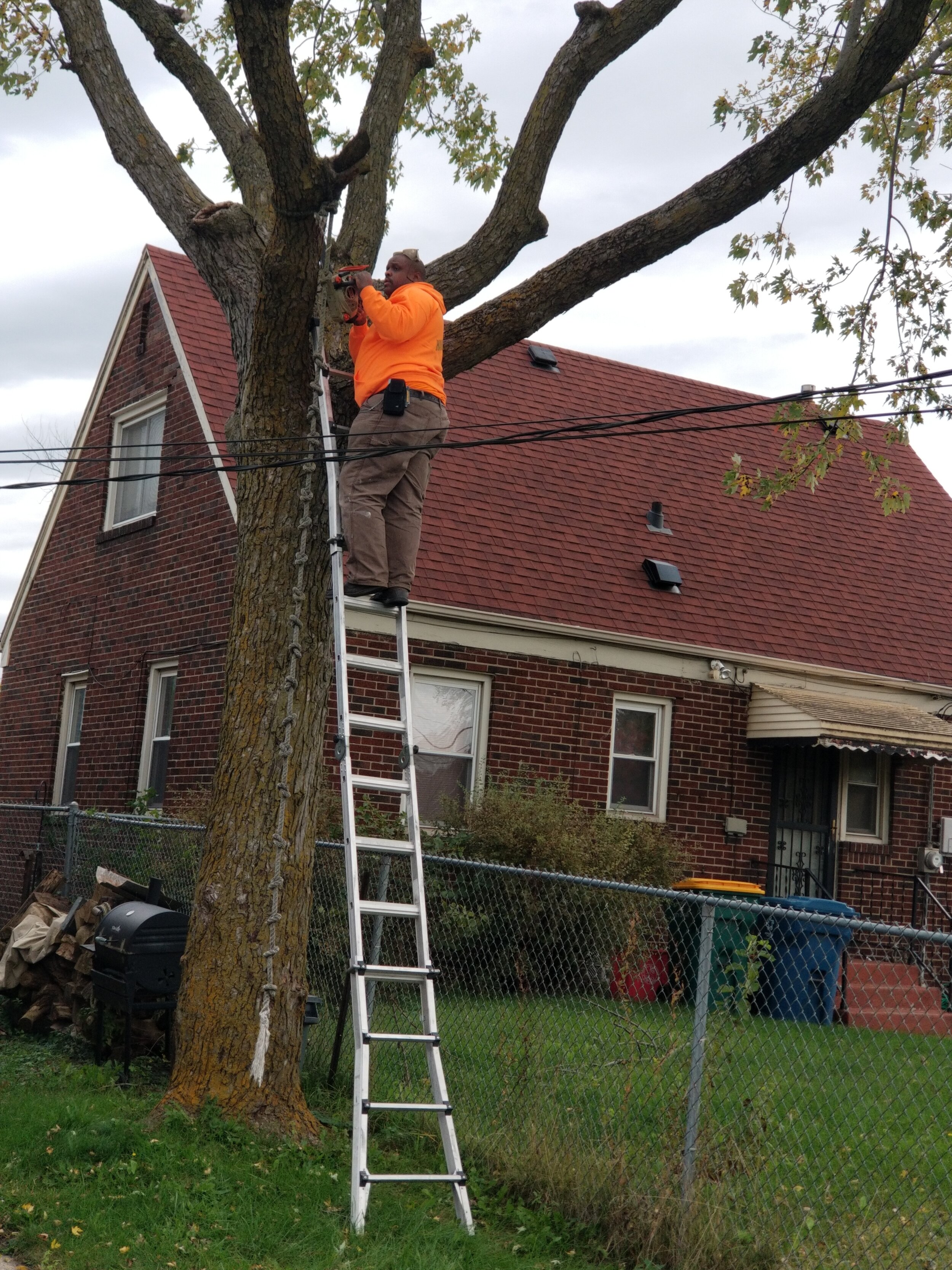 tree trimming.jpg