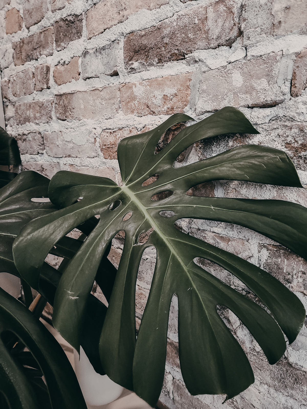 image_from_ios-93.png