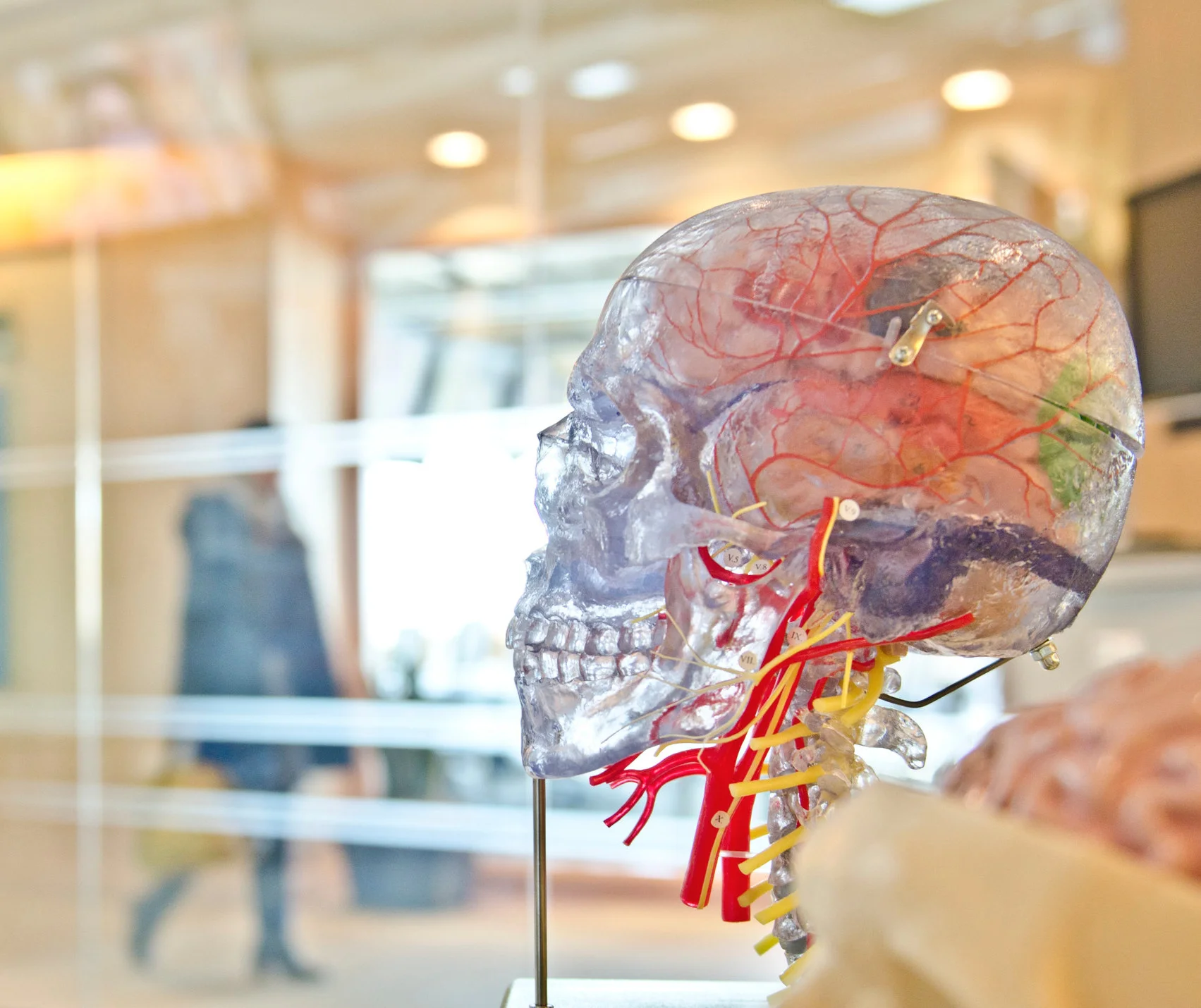 Sensory Processing Issues