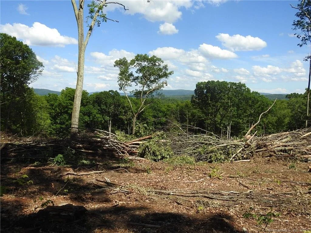 00 Scoville Ore Mine Road, Salisbury, CT 06068 — Robinson Leech Real Estate