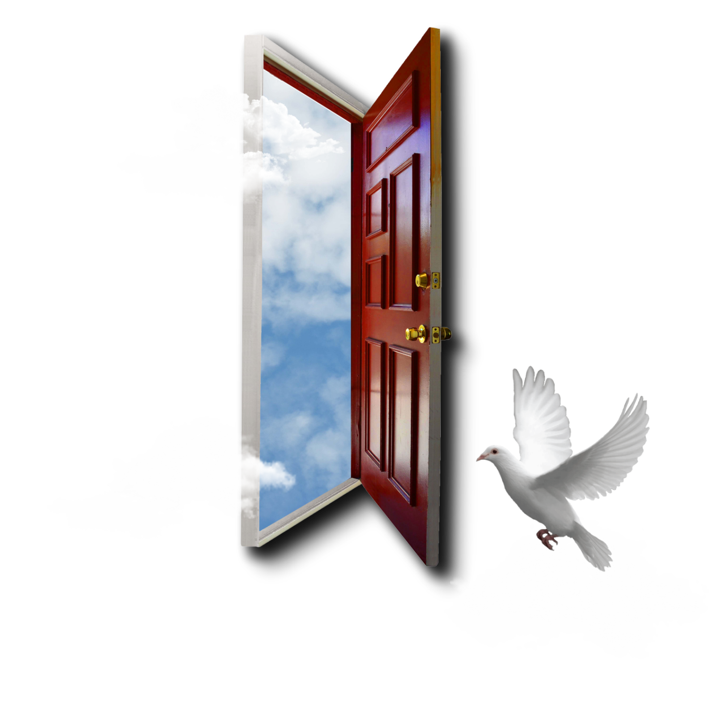 Zumalacárregui | Project Gutenberg, image size:1425x1411