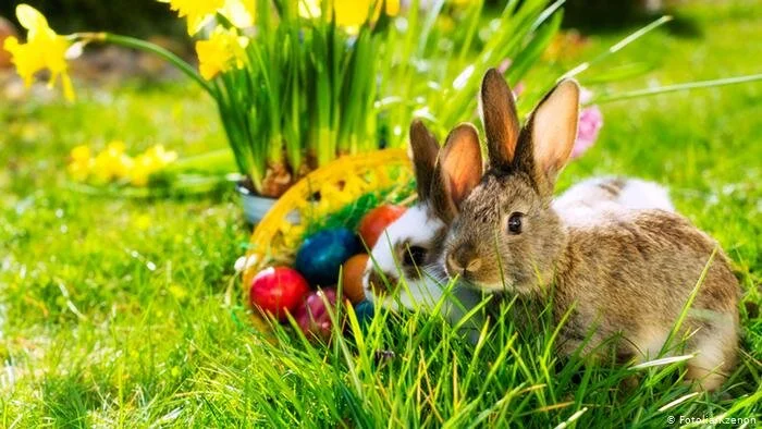 ¿ Easter/Pascua no es  un Concepto Bíblico?
