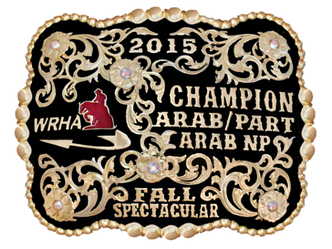 Custom Trophy and Rodeo Belt Buckles