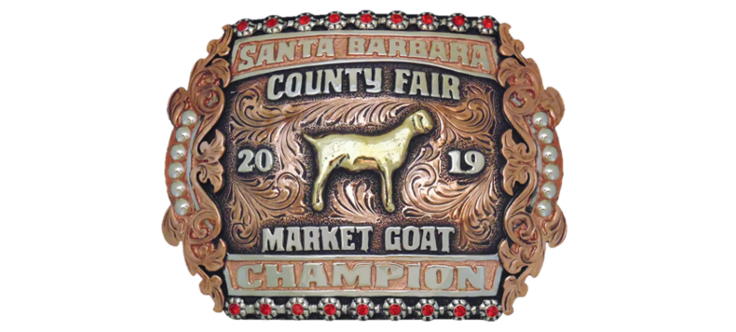 Showtime Awards Trophy Buckles, Award Tack & Accessories