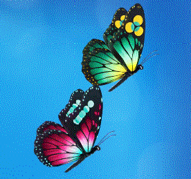 butterfliesThumb2.png