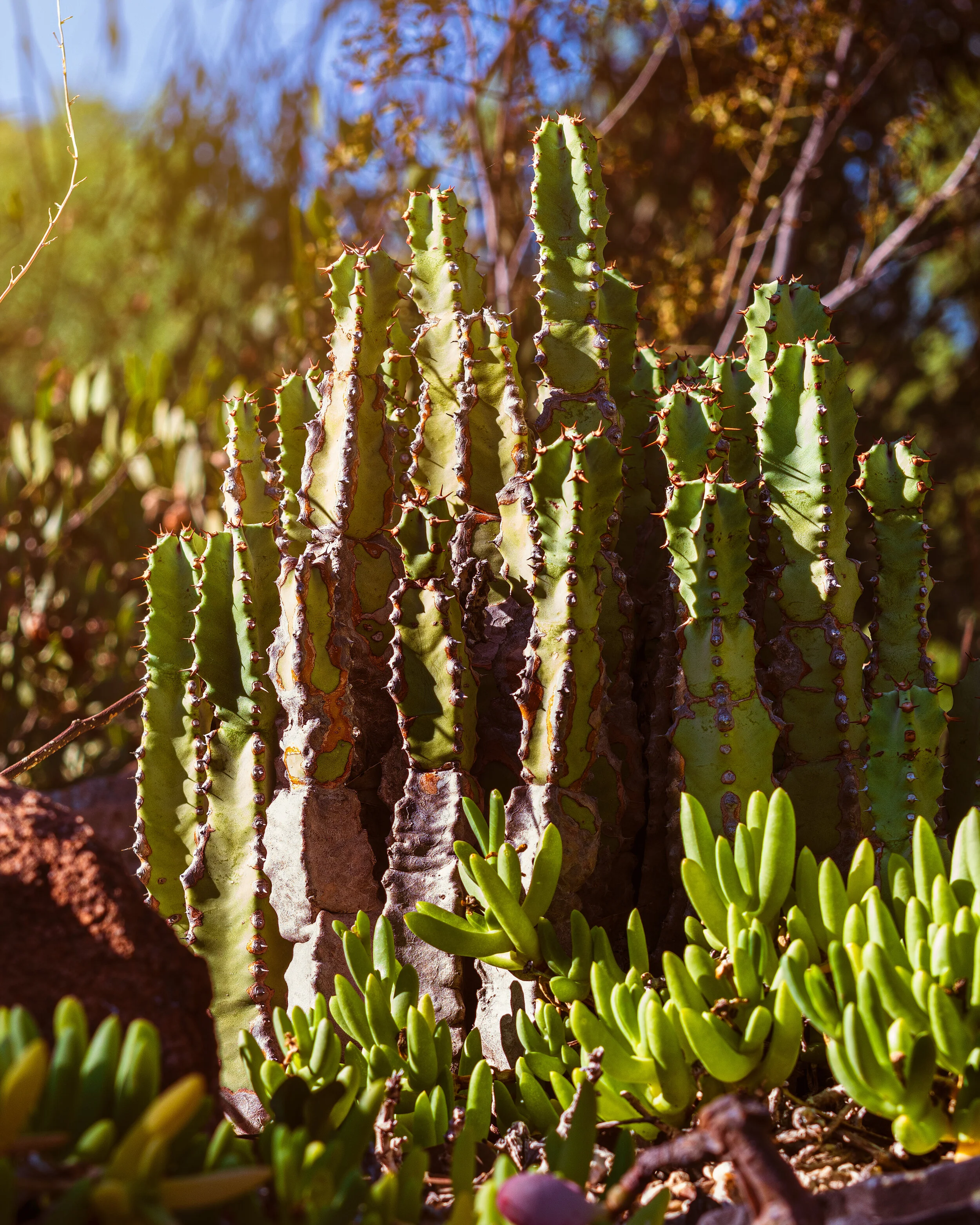 DSC_5611-Edit.jpg