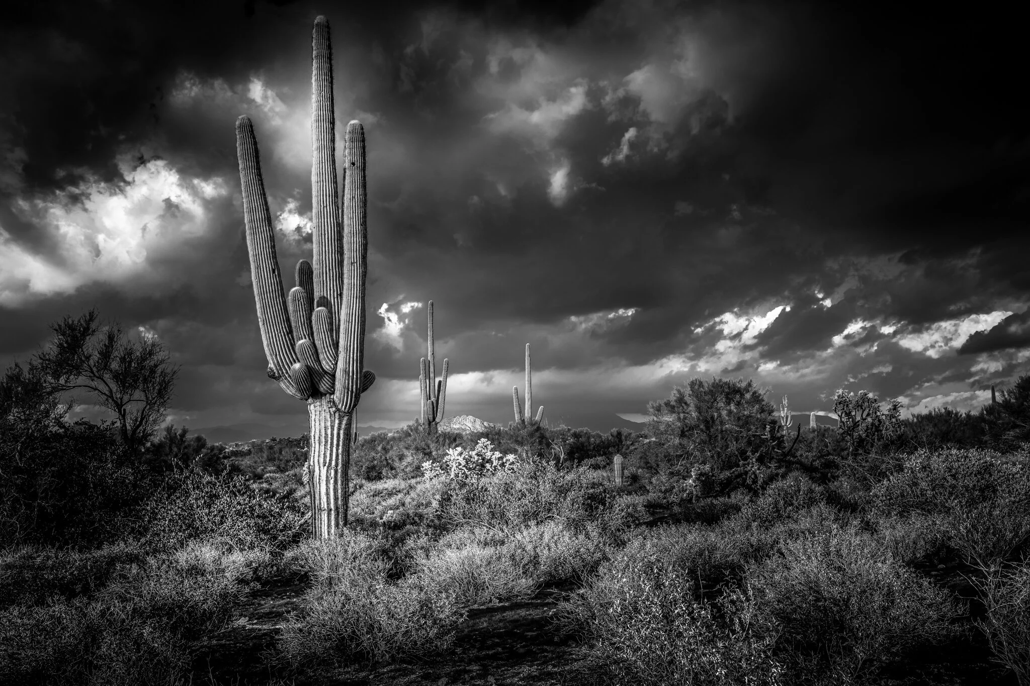 Impending Rain at the Superstitions