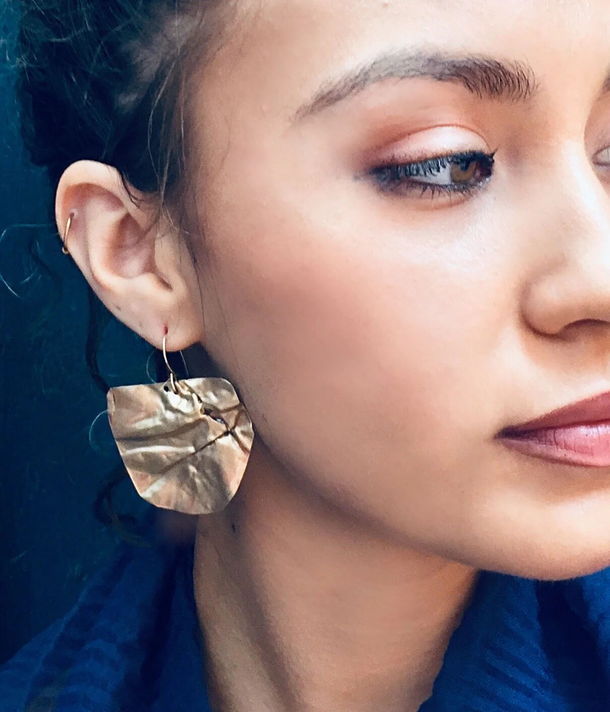 Folded Shield close up.JPEG