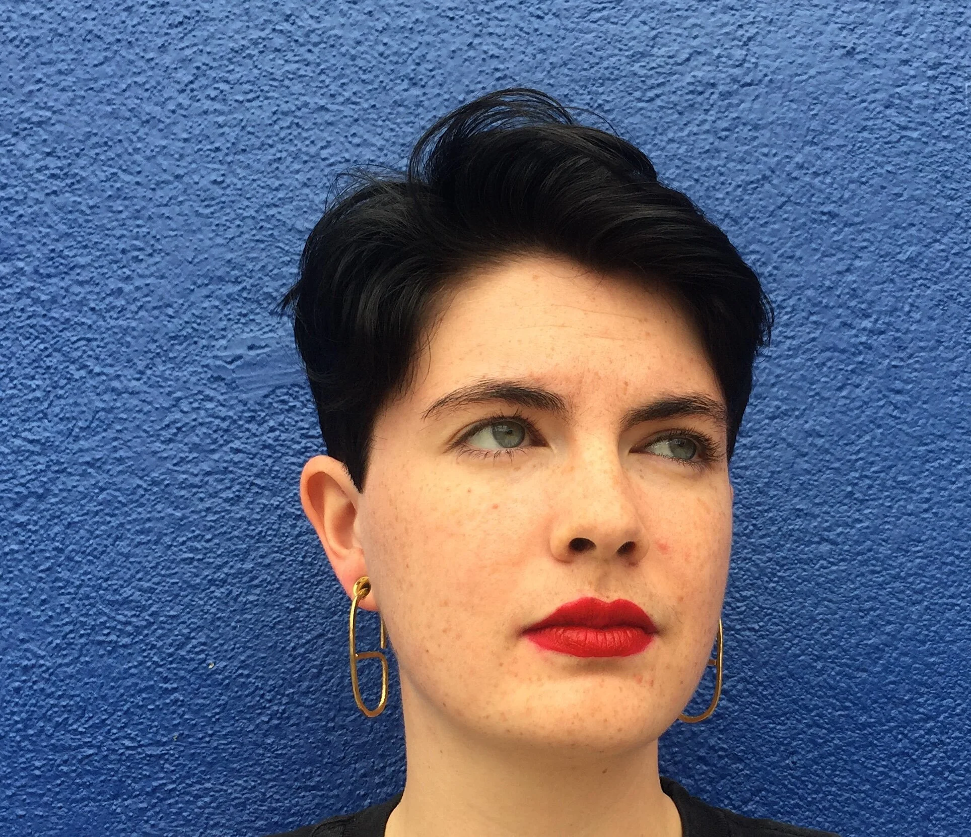 Almendra gauge model.JPG