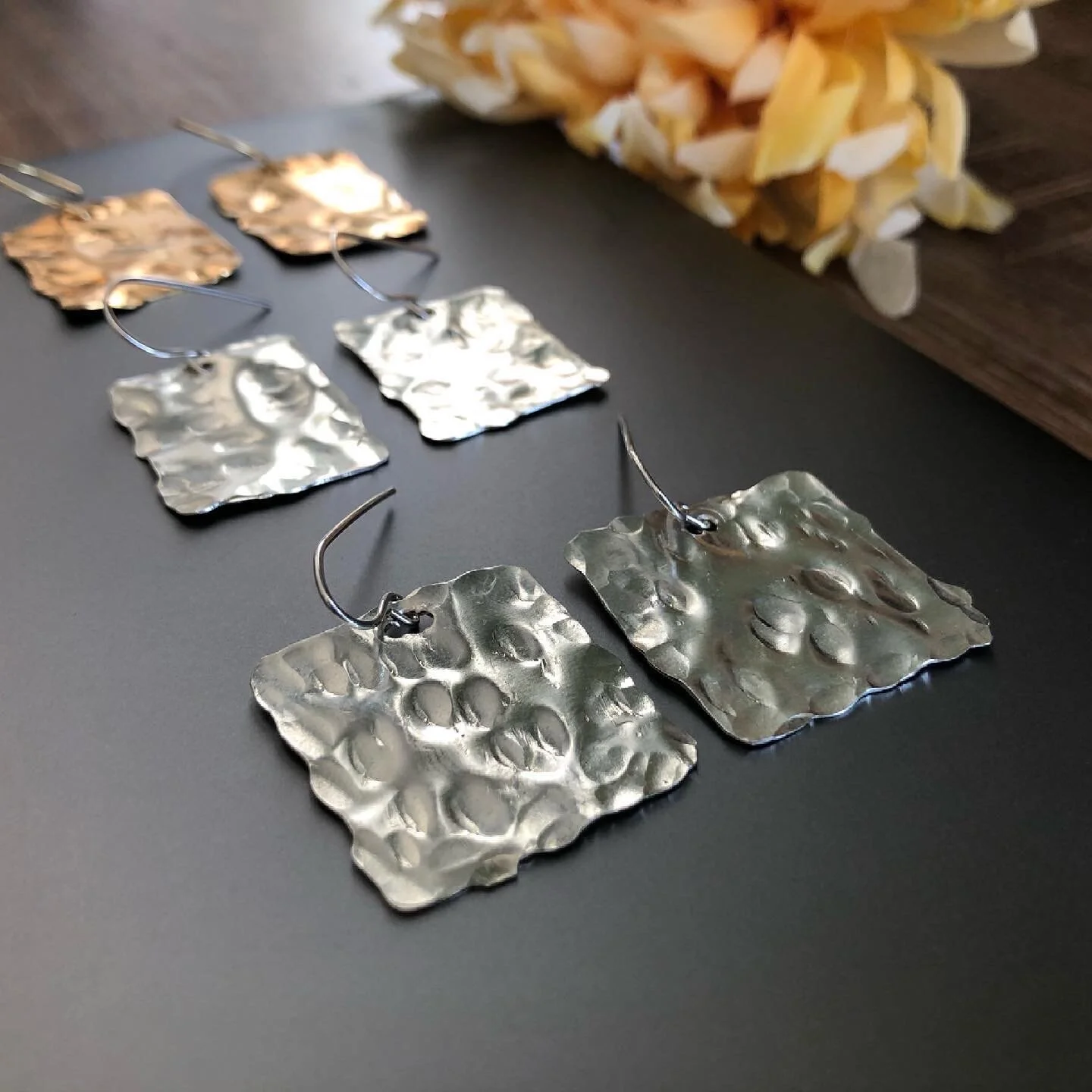 fossa squares both.JPG