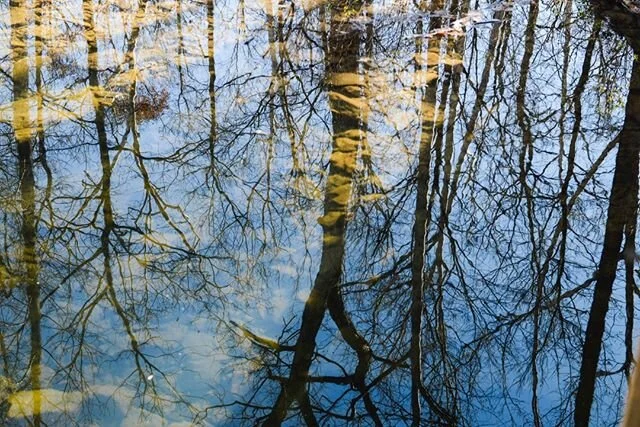 Centrally located at 45.7375° N, 94.9525° W || Sauk Centre is considered to be in the middle of Minnesota⠀⠀⠀⠀⠀⠀⠀⠀⠀
.⠀⠀⠀⠀⠀⠀⠀⠀⠀
.⠀⠀⠀⠀⠀⠀⠀⠀⠀
Since we can't see you at #saukcentre events this summer please tag @visitsaukcentre in your summer fun!