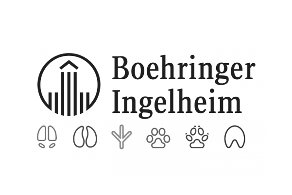 boehringer-ingelheim-logo_bonsai_bremen-market-research.png