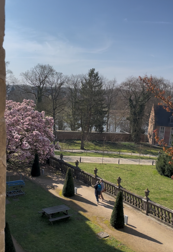 Screenshot 2026-03-19 170206.png