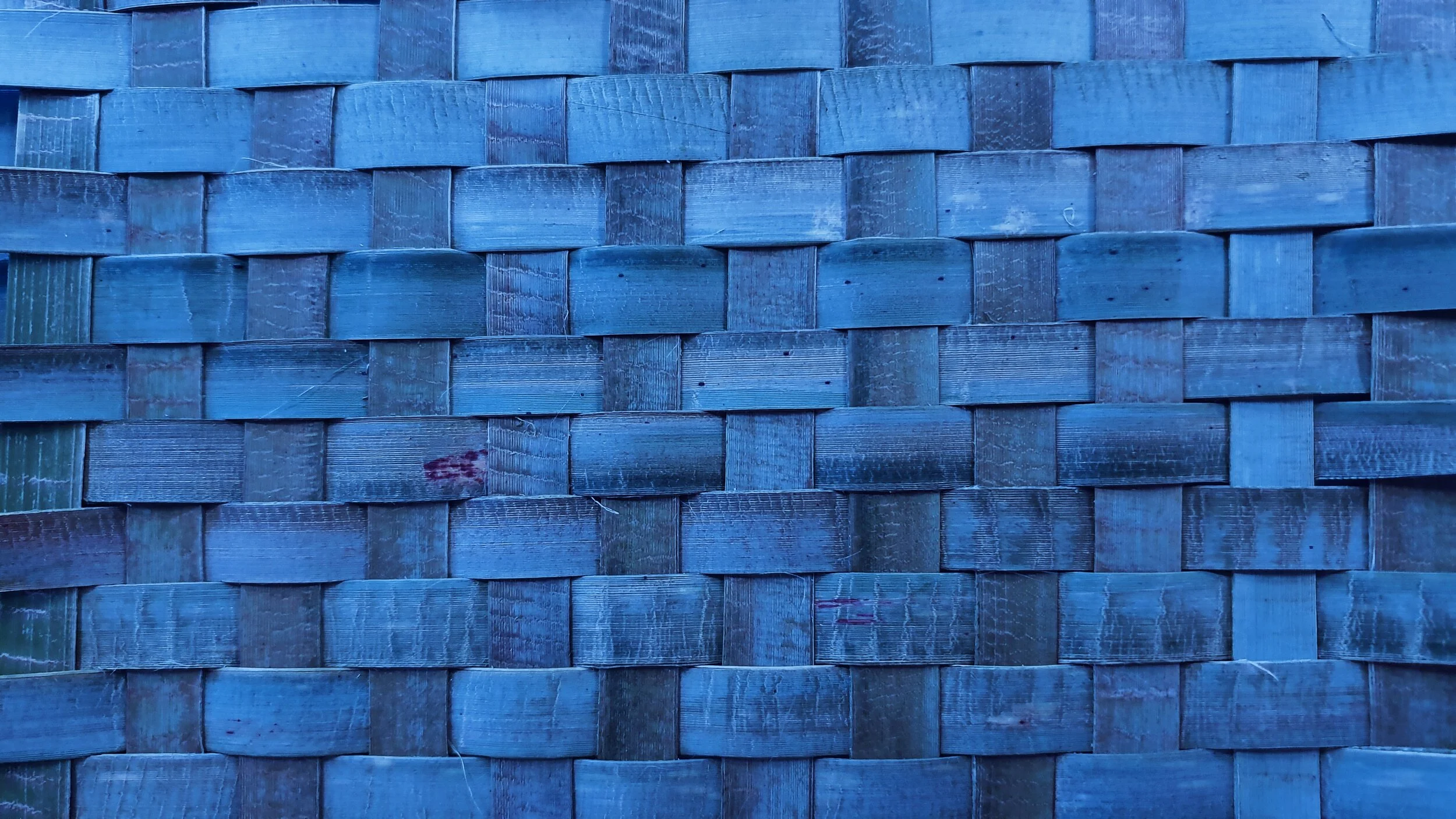 2020-03-15 07.32.35 1.jpg