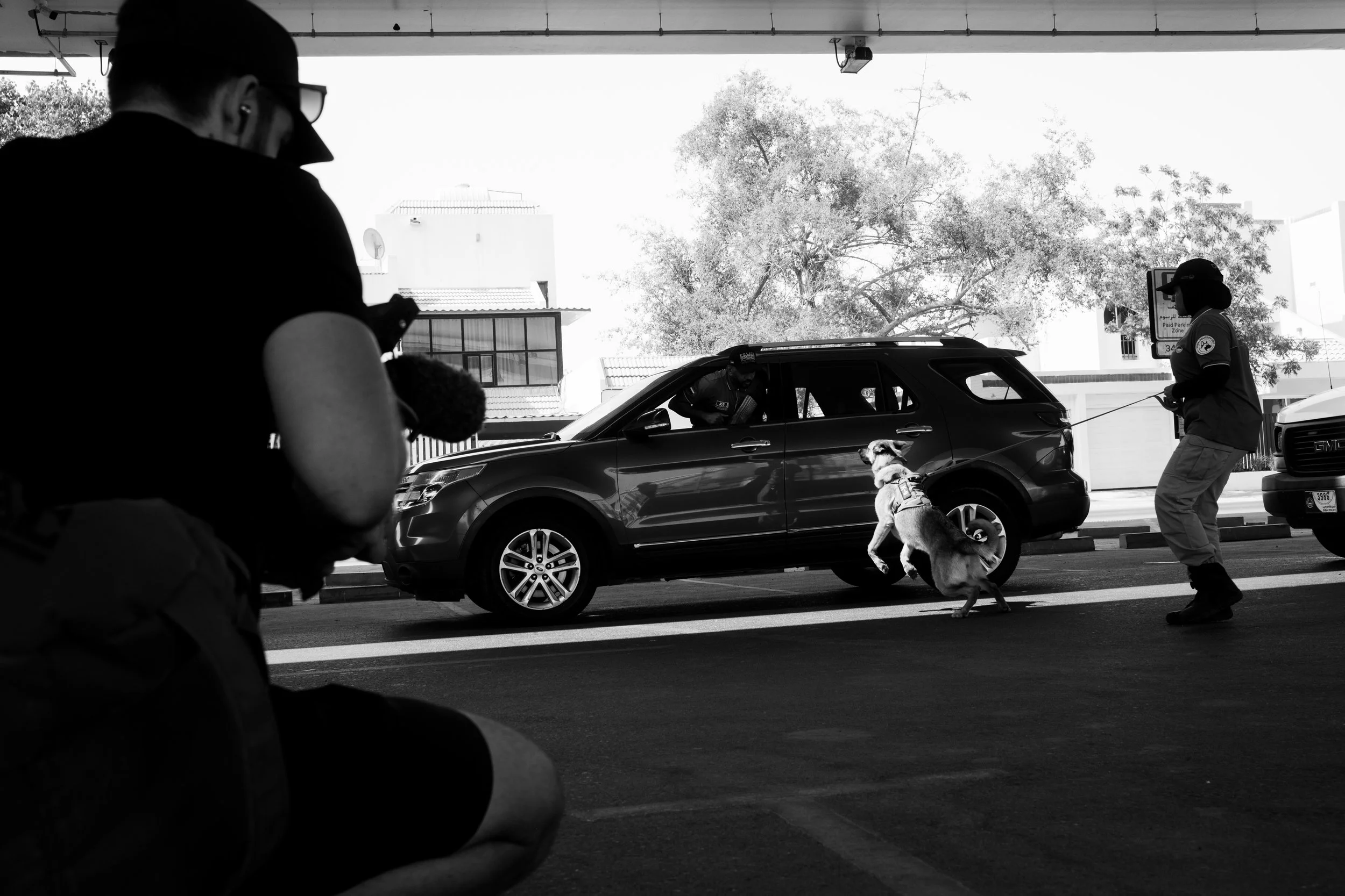 Police officers with a police dog during a street operation, with a camera operator filming and a woman in a vehicle talking to the officers.