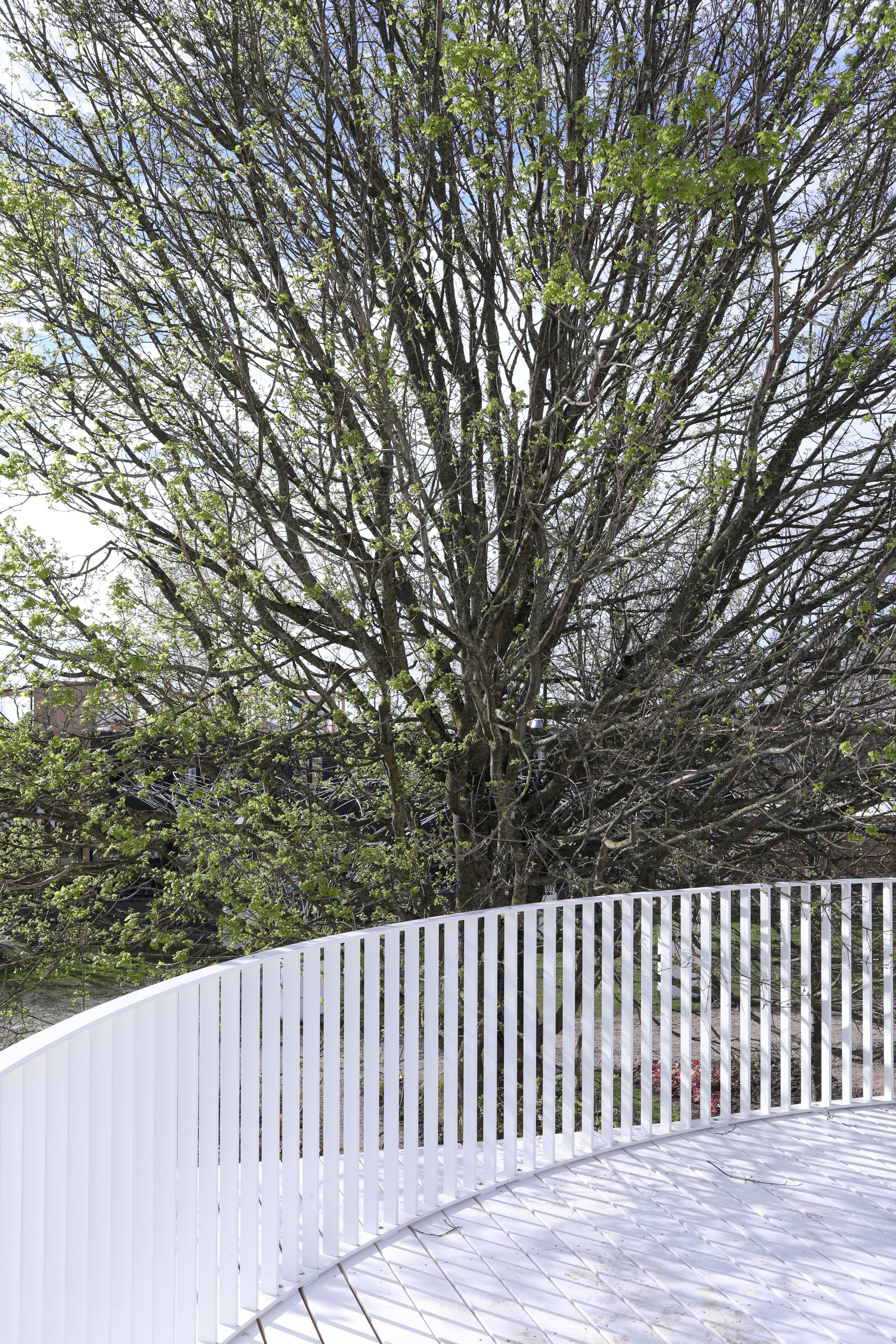 WALD SOLARproto Almere arboretum tree.JPG