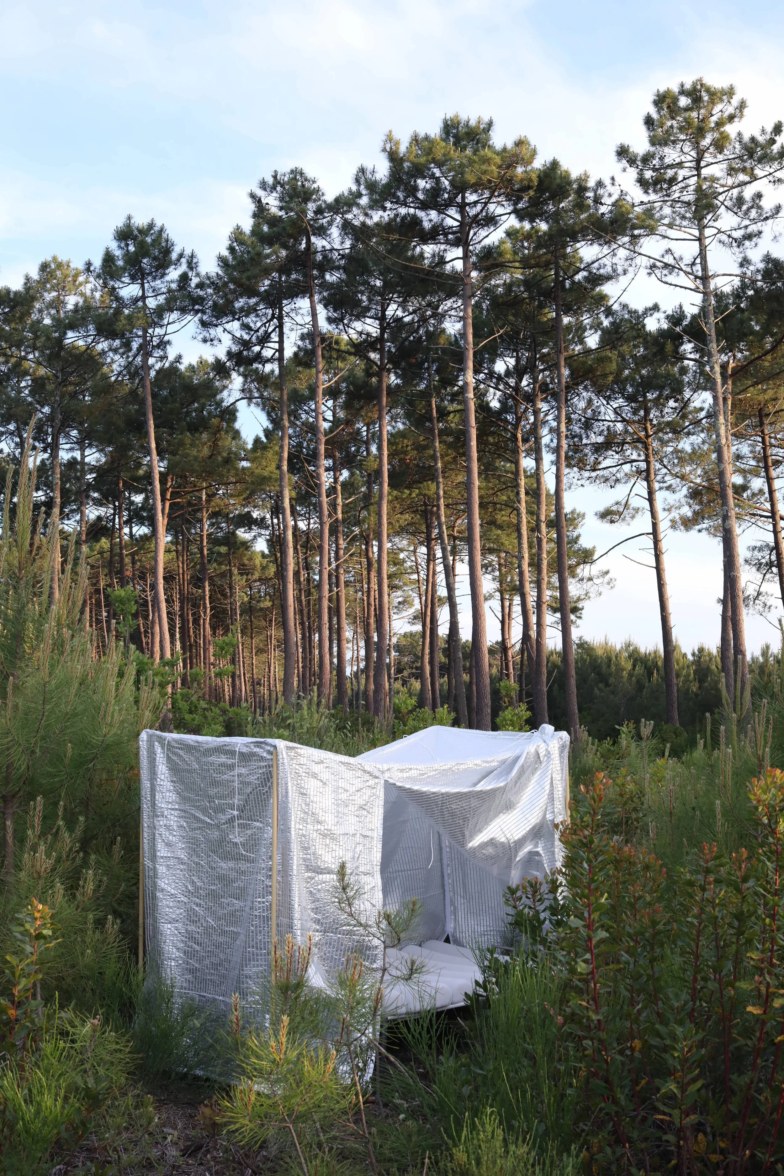 WALD Furnitures for Nomadic Millenials Foret.JPG