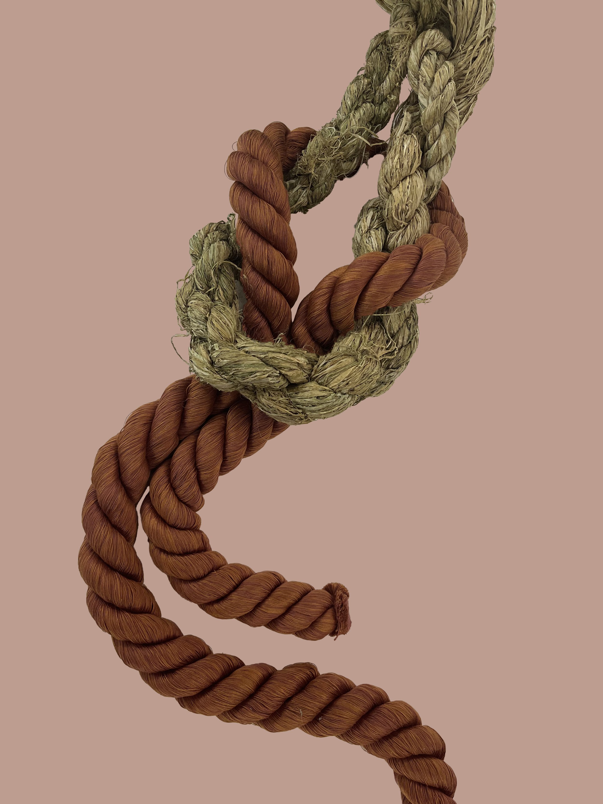 hemp silk rope entwined.jpg