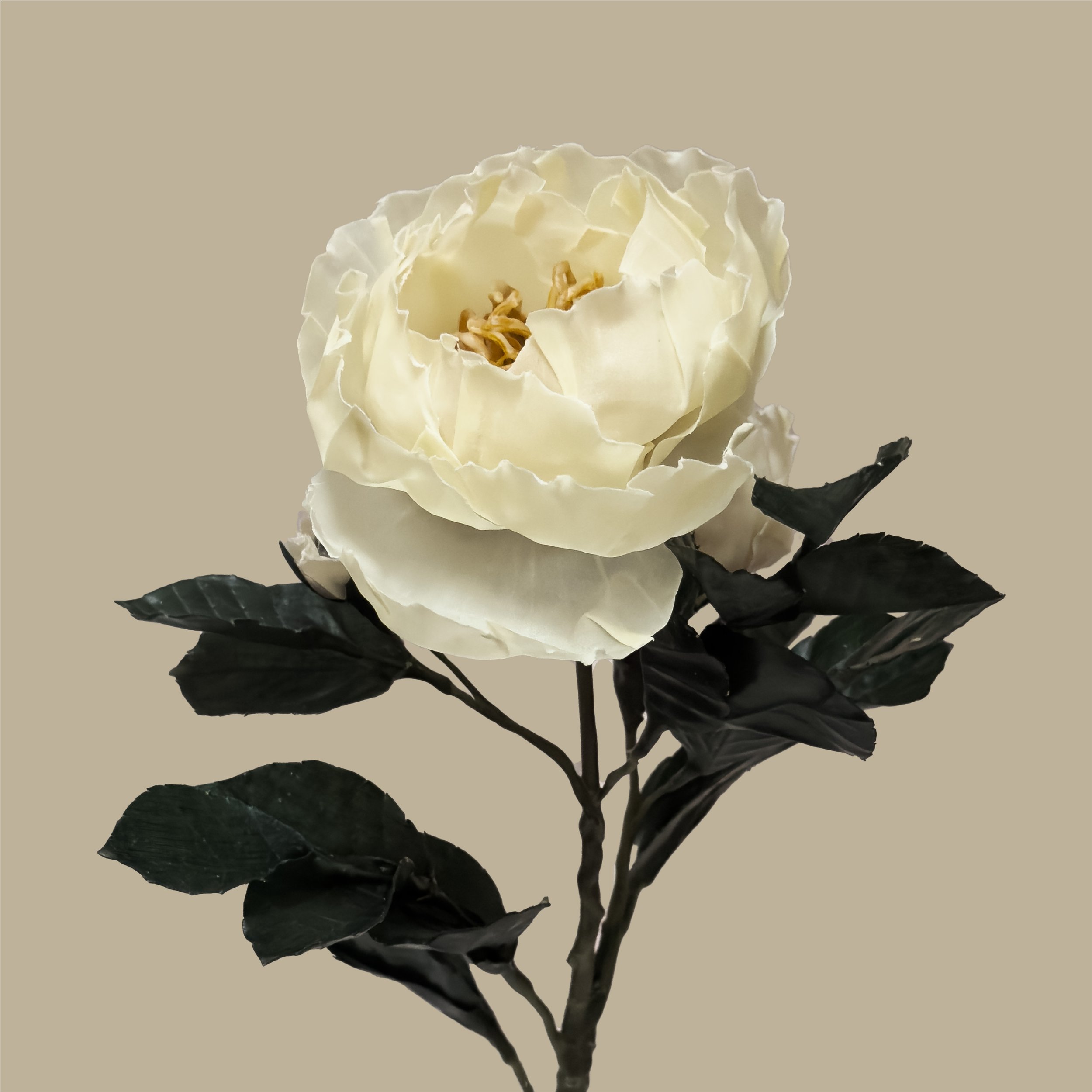 WAXAtelier_Rose.jpg