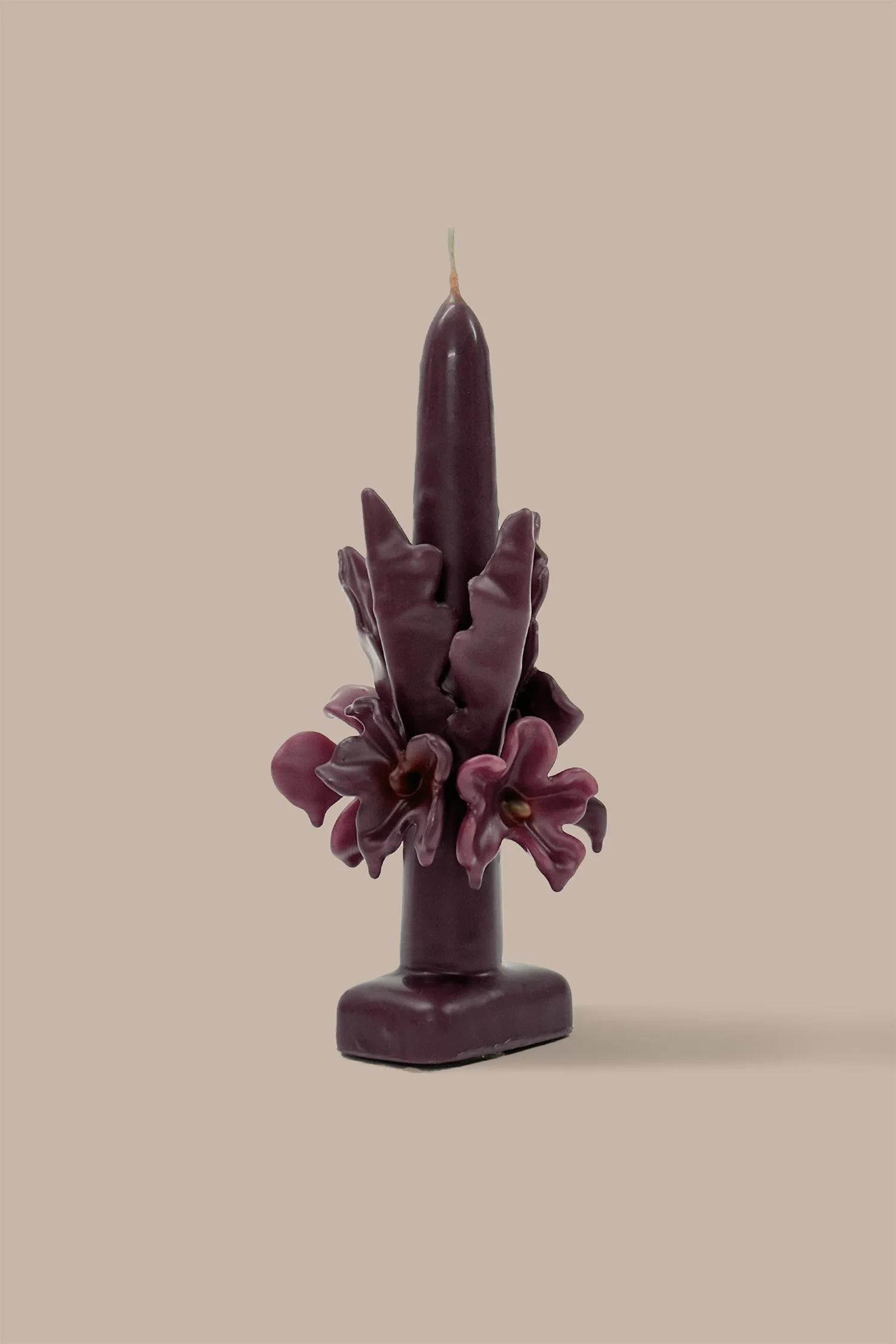 Hellebore-2.jpg